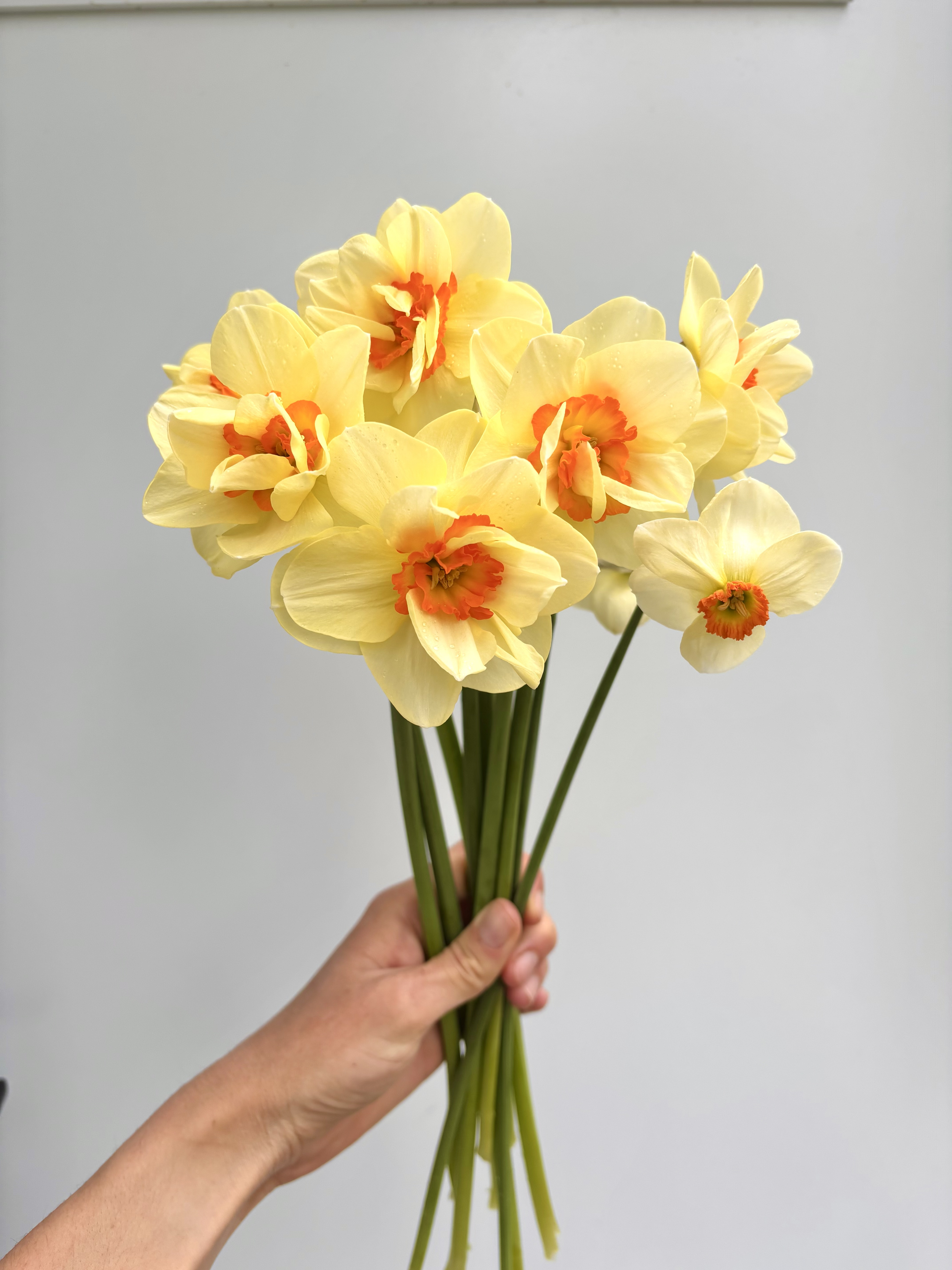 tempImagehyD37i.png