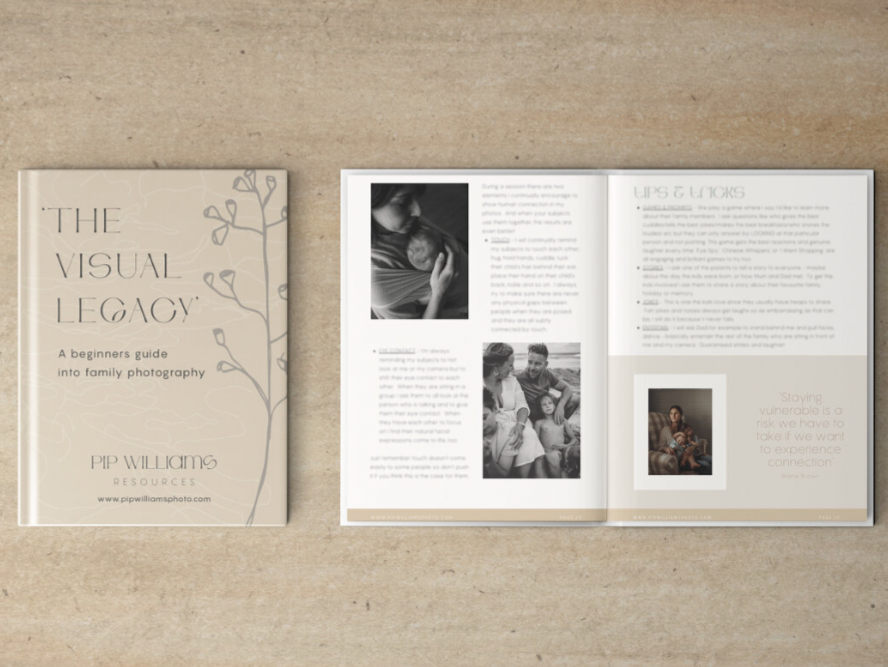 eBook - The Visual Legacy