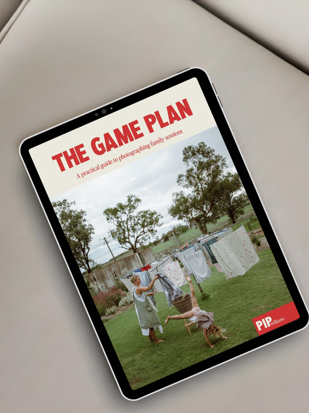 The Game Plan - eBook