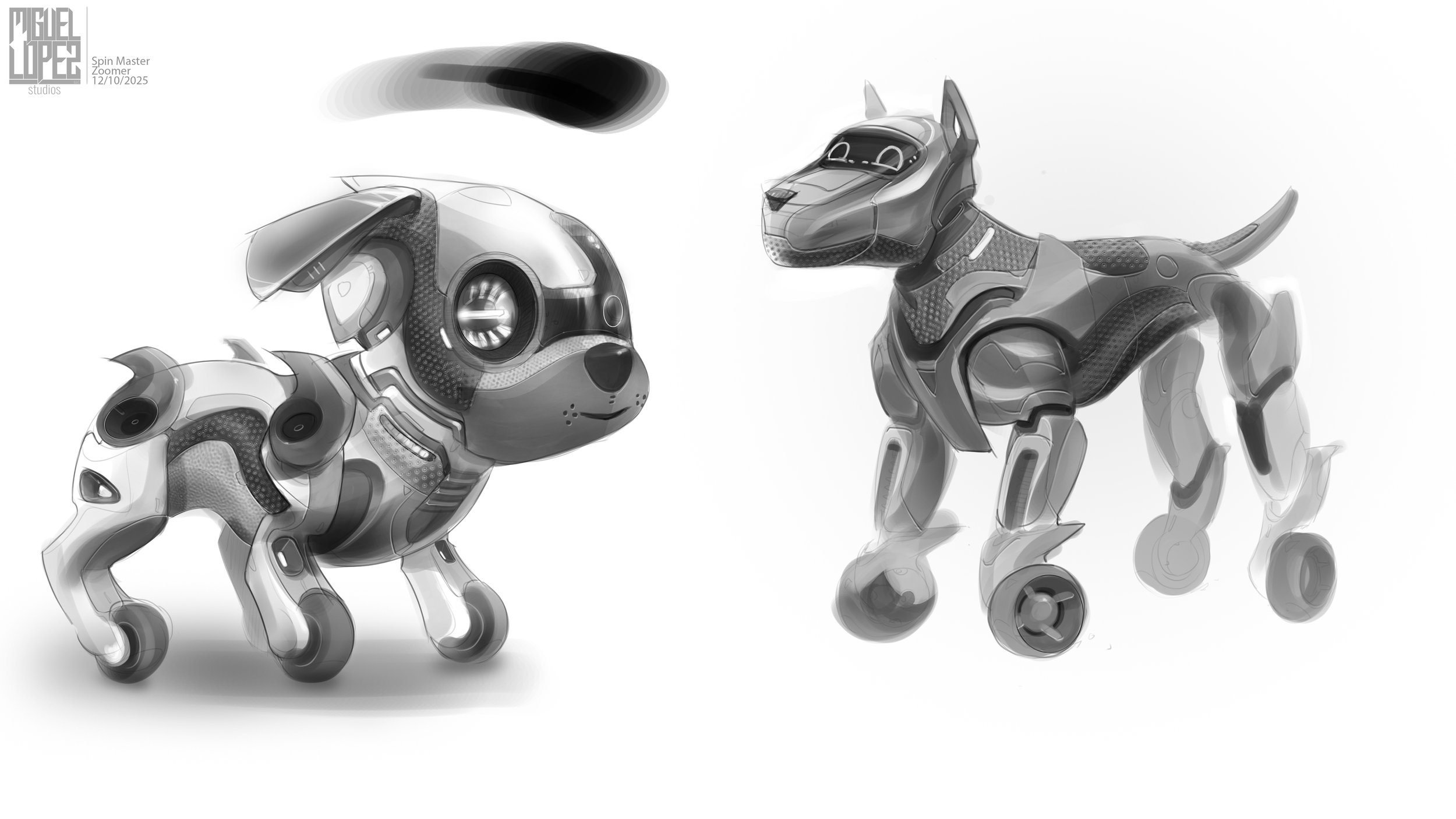zoomer3-BU copy1.jpg