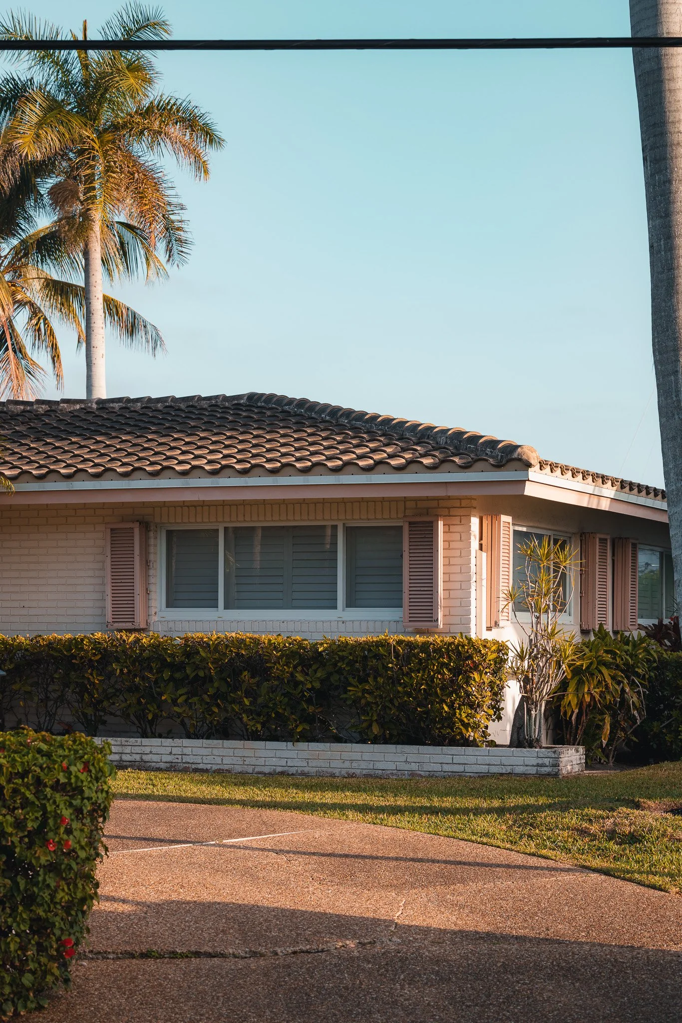 Good morning neighbor