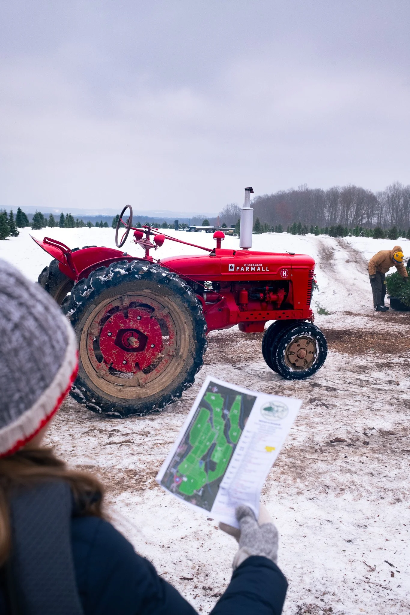 Storyland Christmas Tree Farm, Ohio