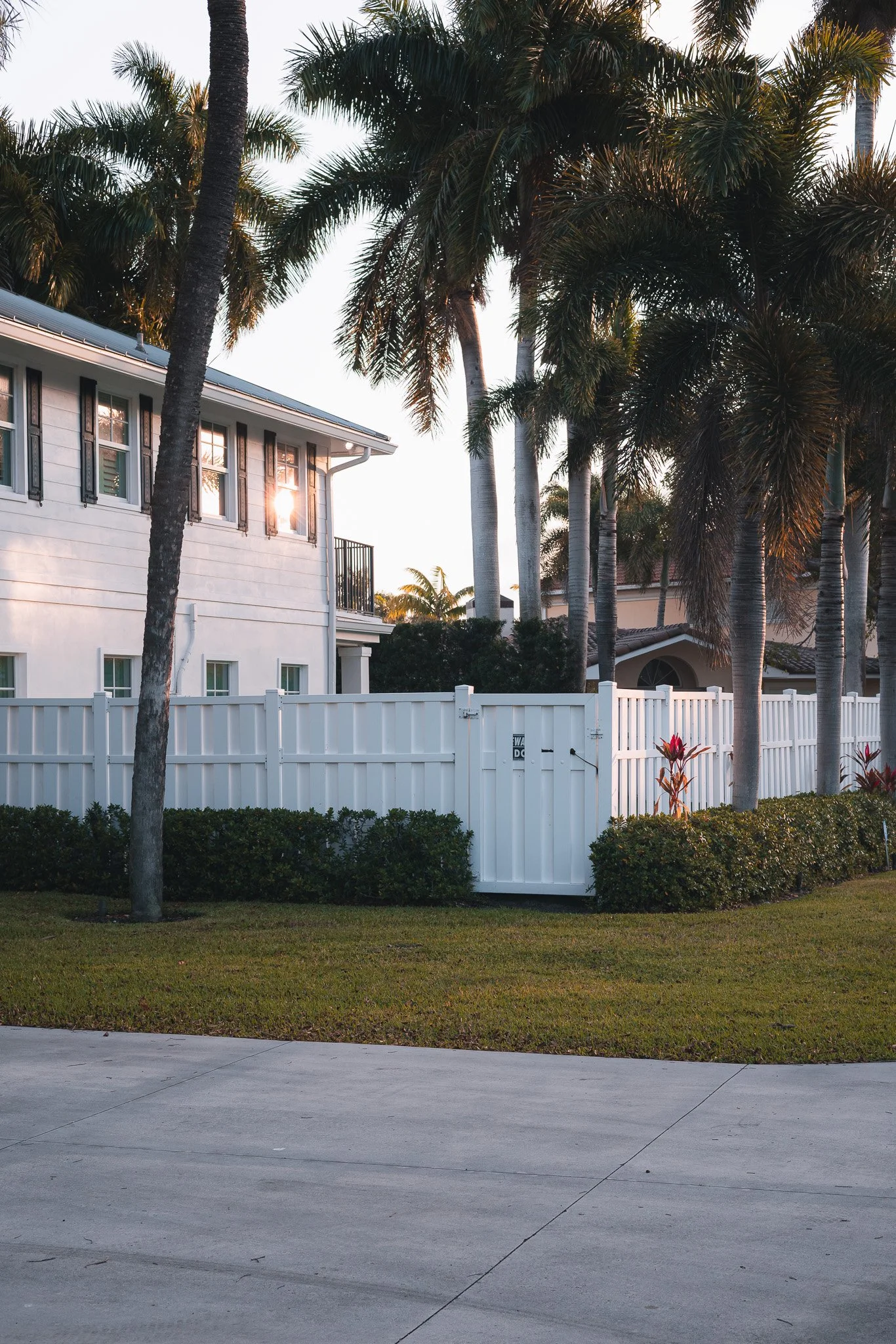 Sunshine for Breakfast