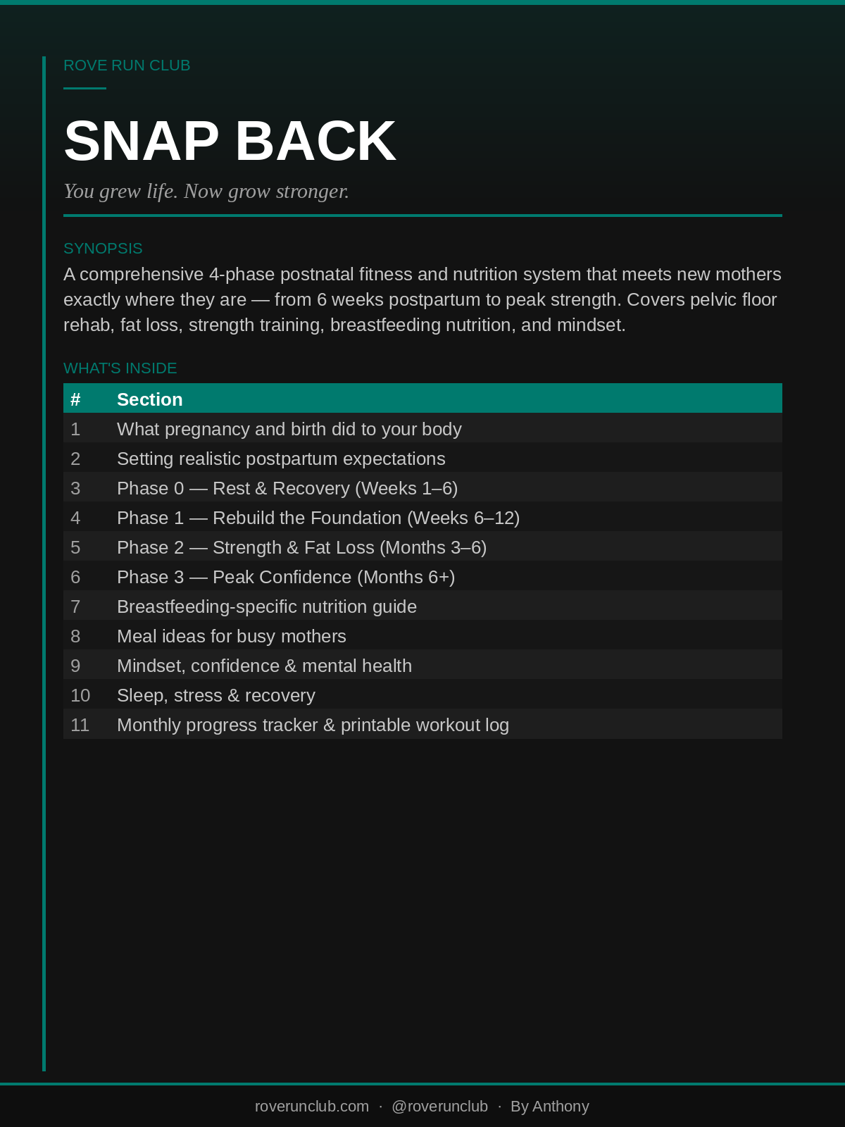 synopsis_snap_back.png
