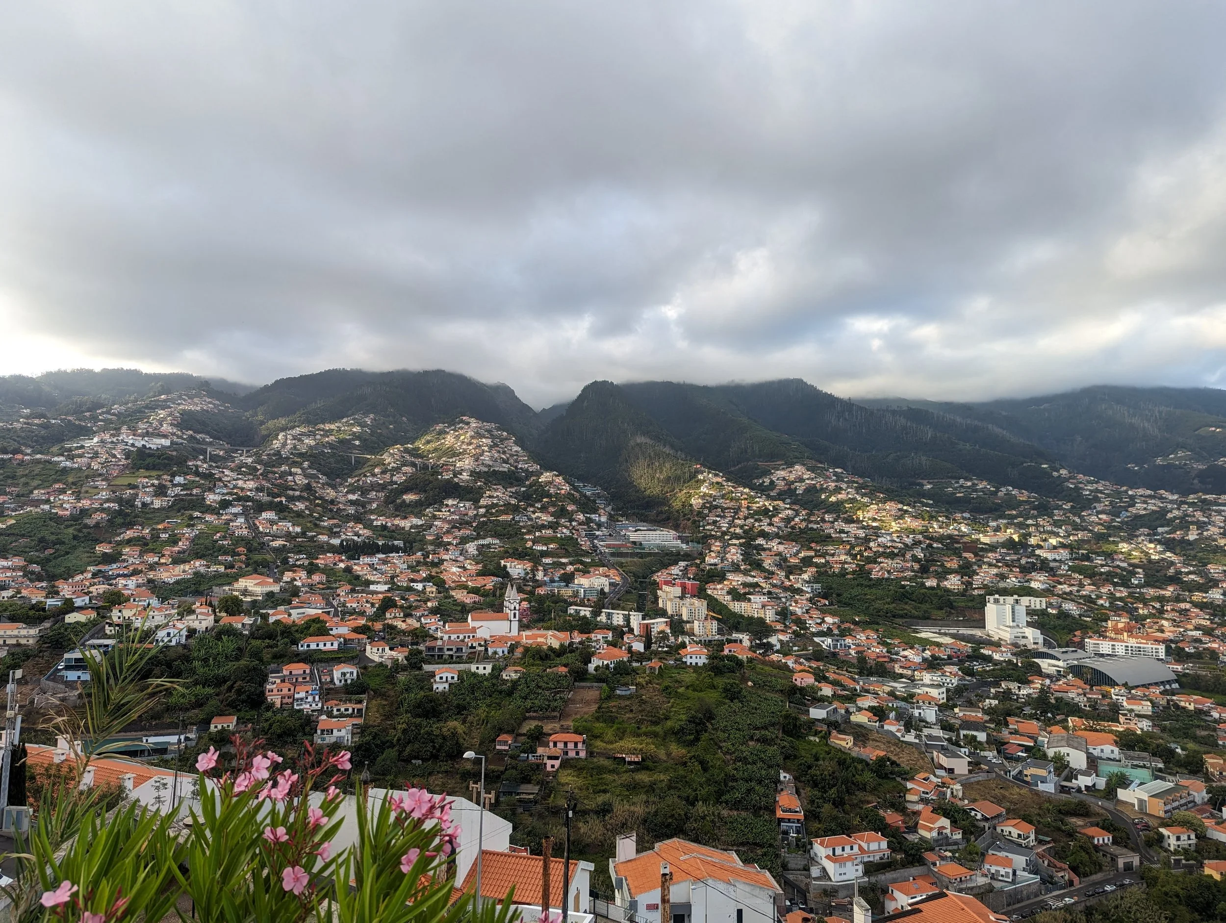 Cityscape of a hillside town with numerous houses and buildings, green hills and mountains in the background, and cloudy sky overhead. An overview of Funchal Madeira.