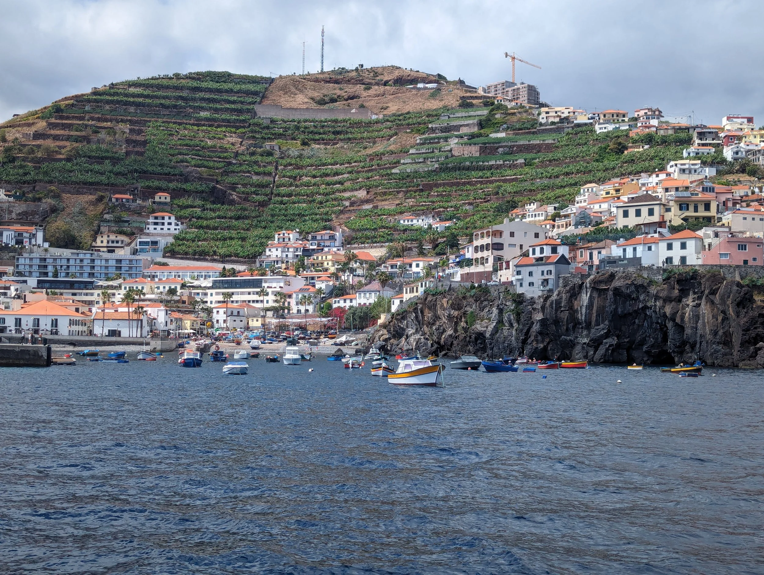 A coastal hillside town with terraced vineyards, numerous white houses with red roofs, and boats in the harbor in the foreground.