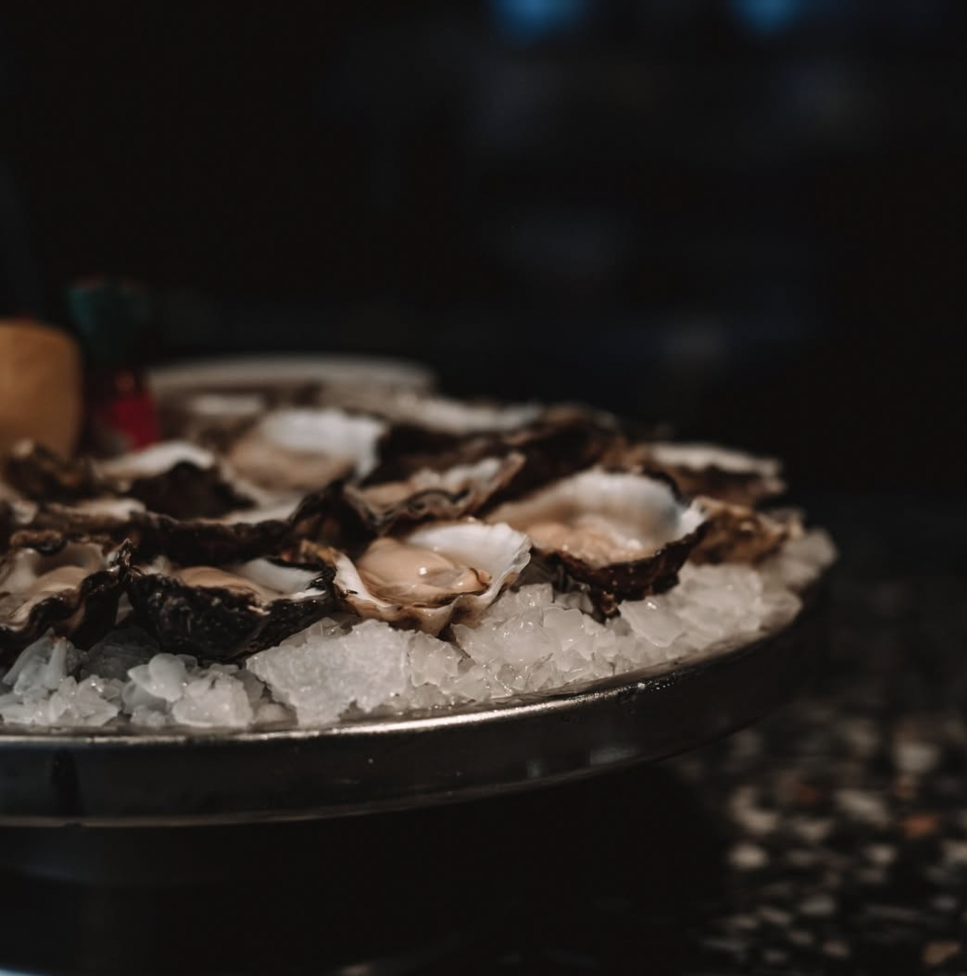 Screen Shot 2026-02-09 at 6.49.22 am.png