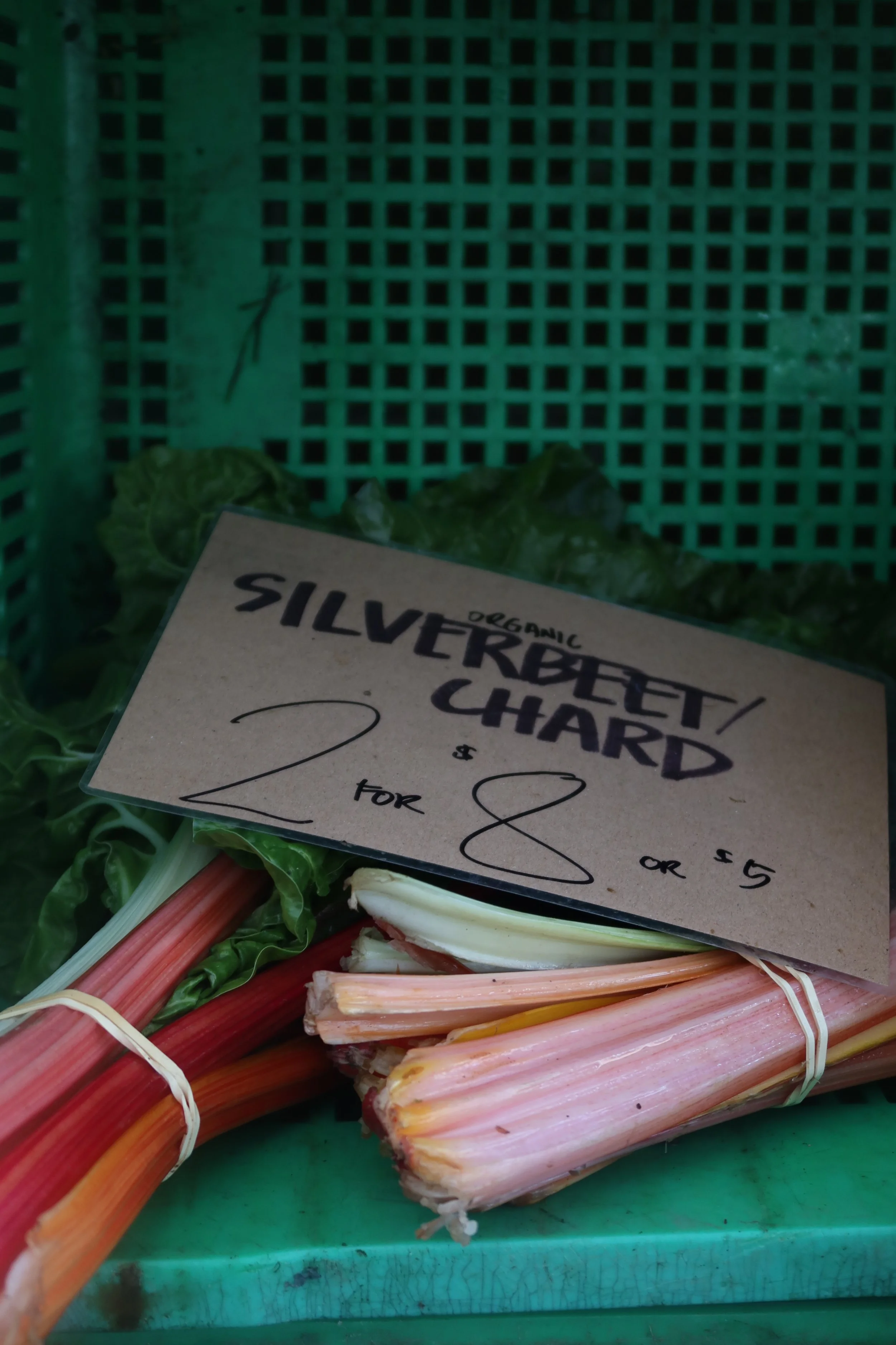 Silverbeet/Chard Organic