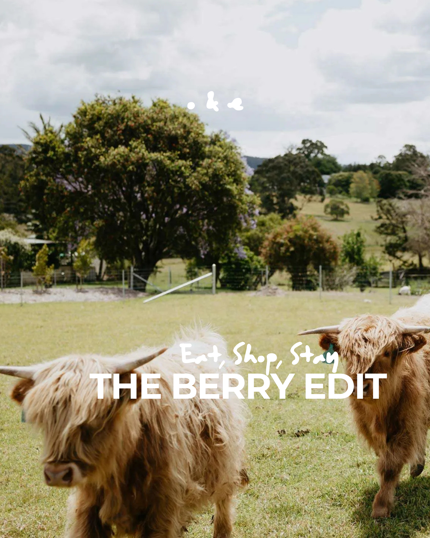 The Berry Edit: Eat, Shop, Stay