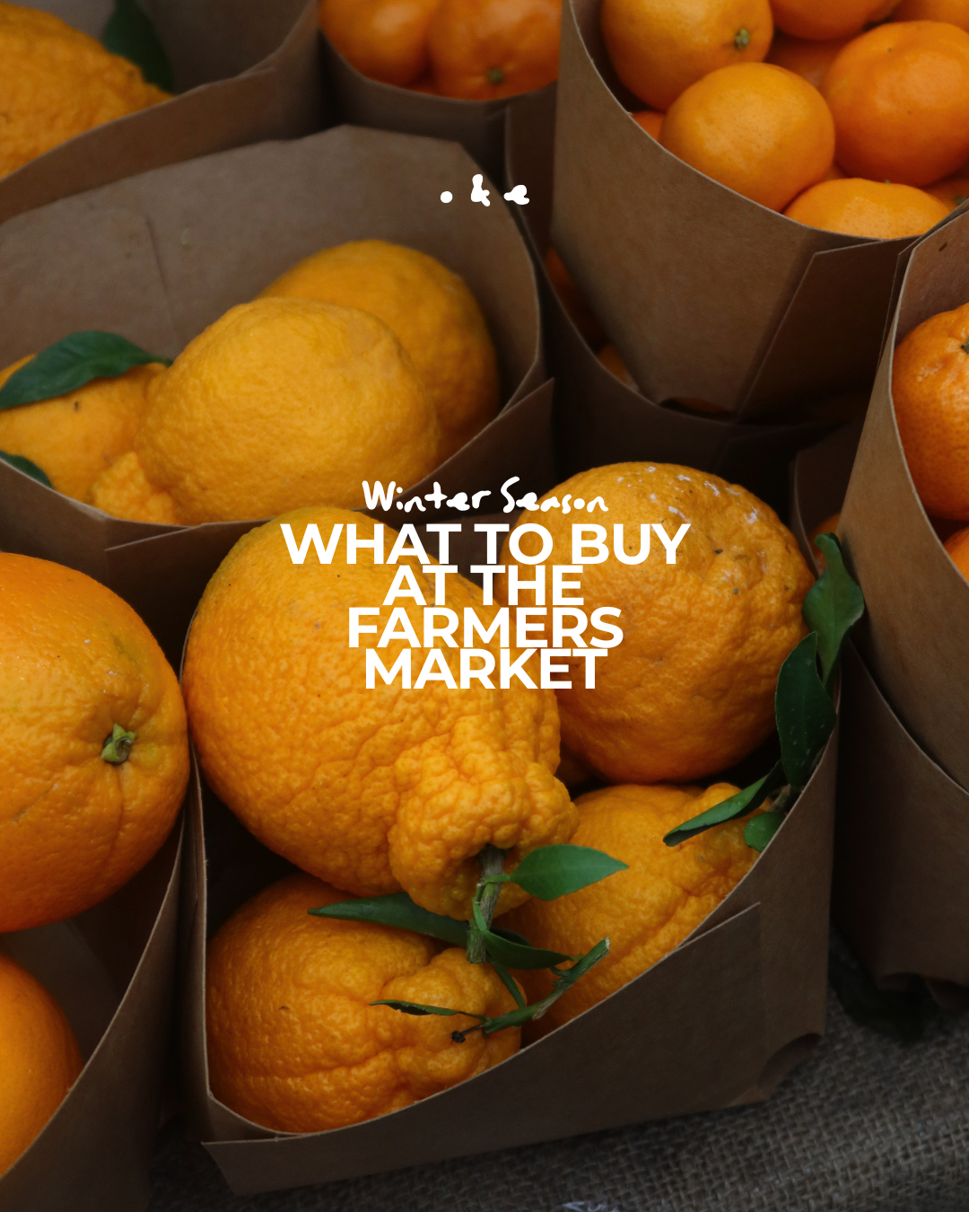 What To Buy At The Farmers Market 