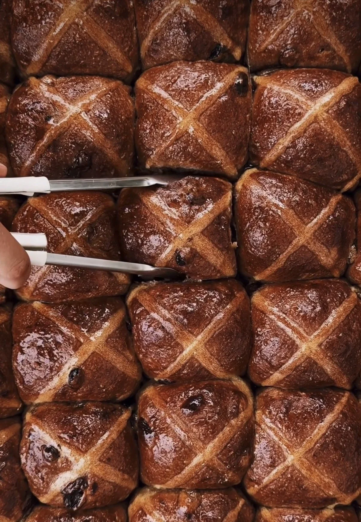AP Bakery Hot Cross Buns