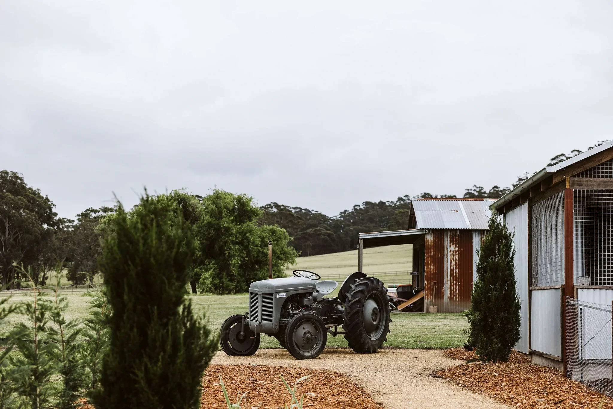 Moraea Farm by Linnaeus Collection