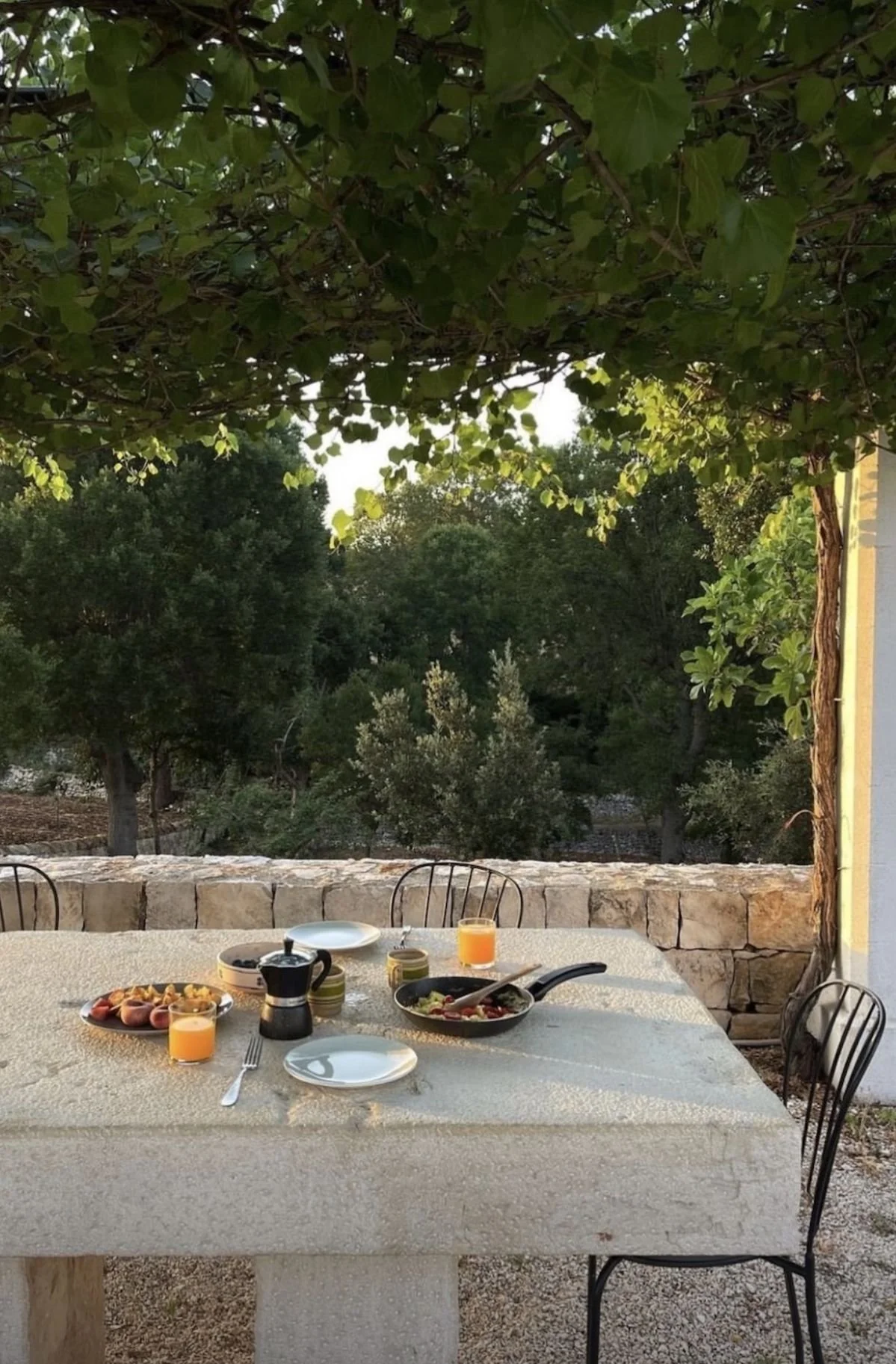 Outdoor dining table set for breakfast or brunch, with plates of food, glasses of orange juice, and a coffee pot, under a shaded canopy with lush green trees in the background.