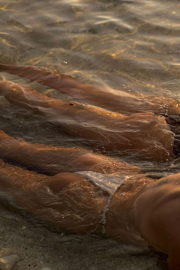 A group of fish swimming in shallow water near the shore.