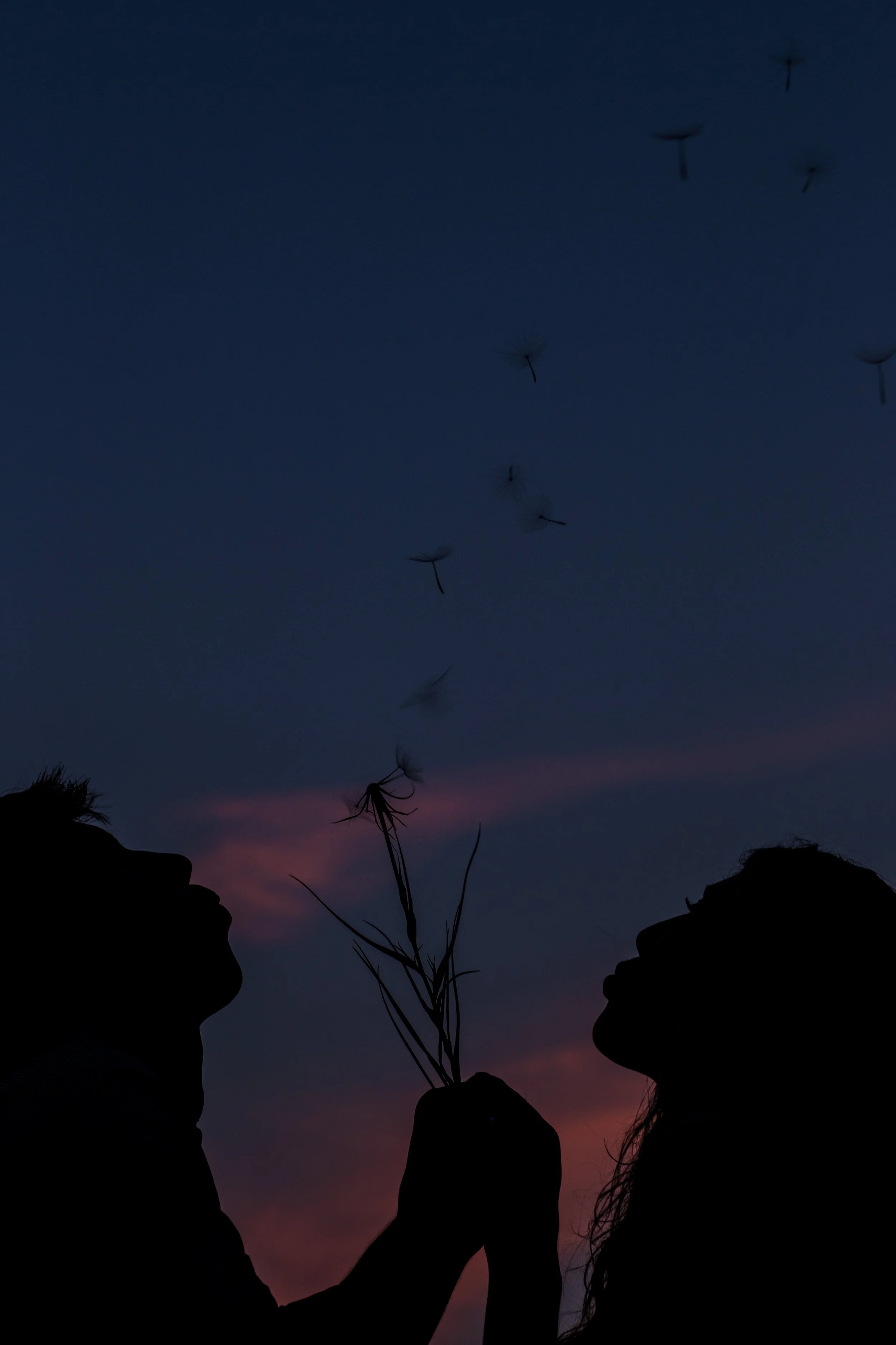 Wade-Emily-111S.jpg
