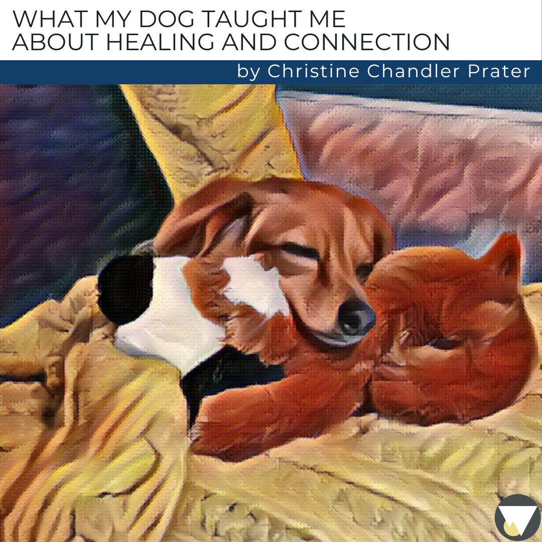 Sissy's Story: What My Dog Taught Me About Healing and Connection