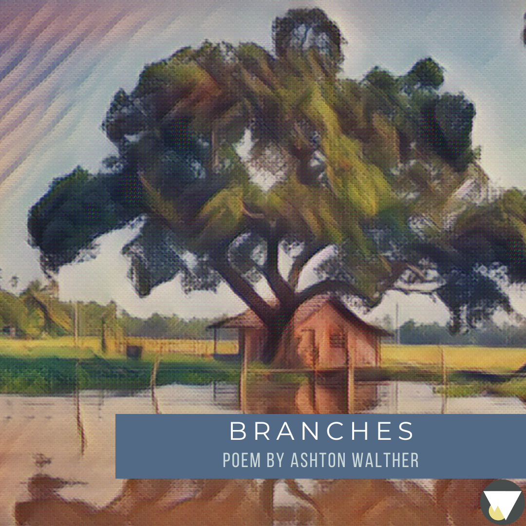 Branches