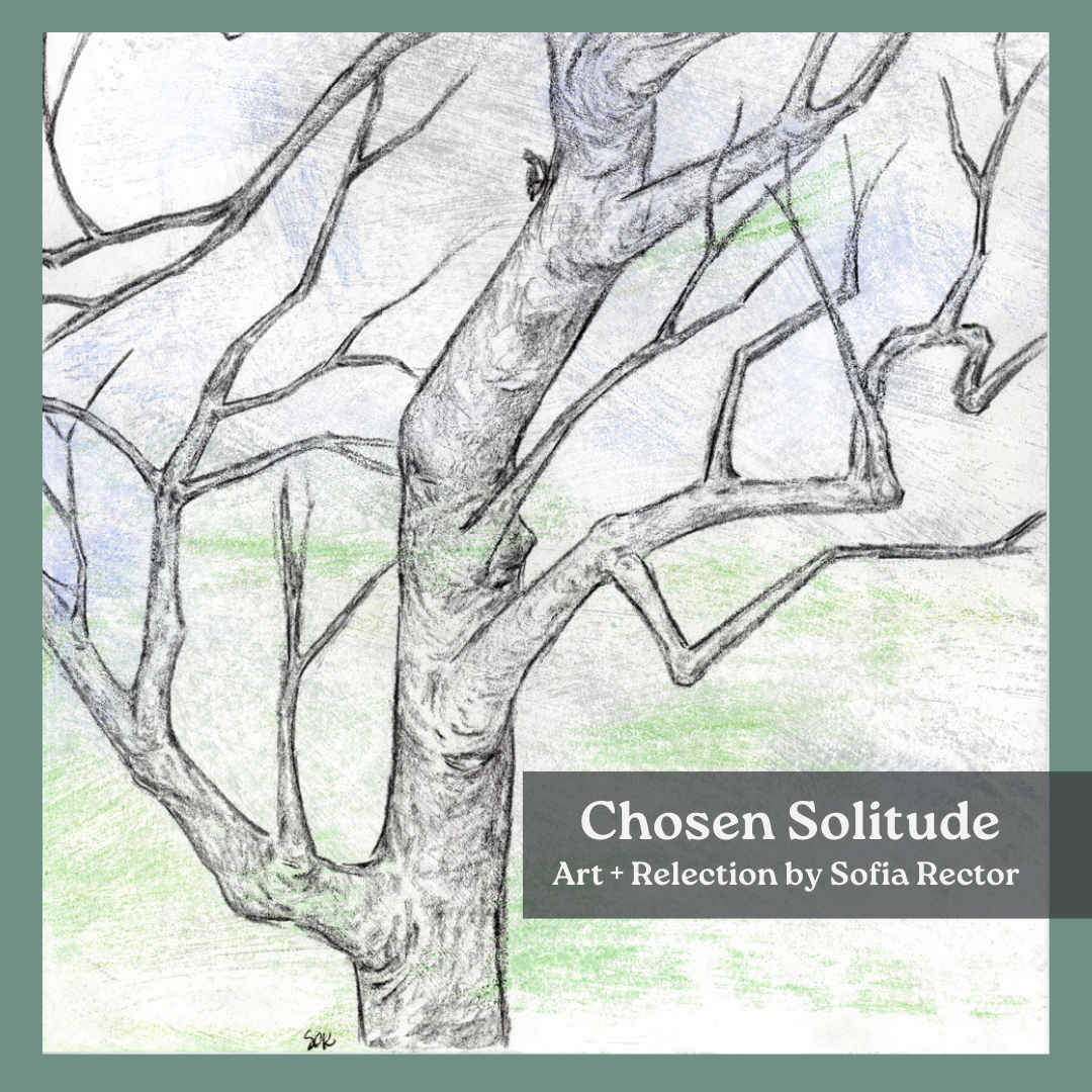 Chosen Solitude
