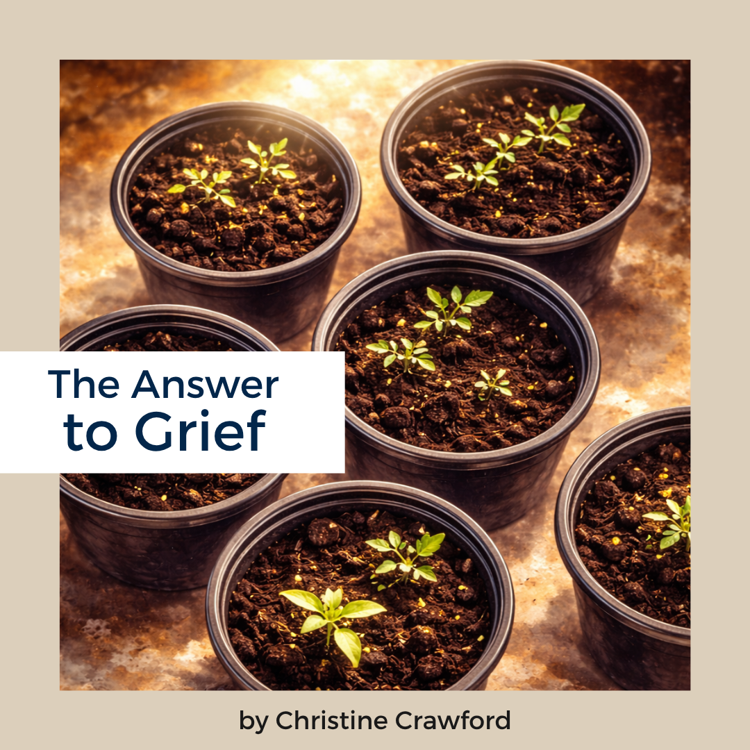 The Answer to Grief