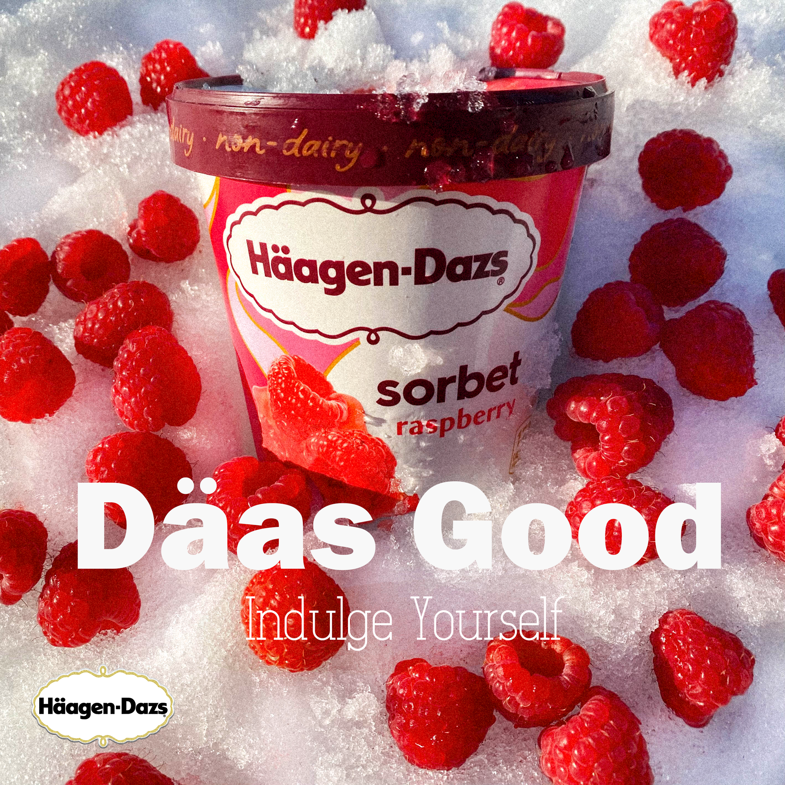 Haagen Dazs copy 8 indulge (1 of 1).png