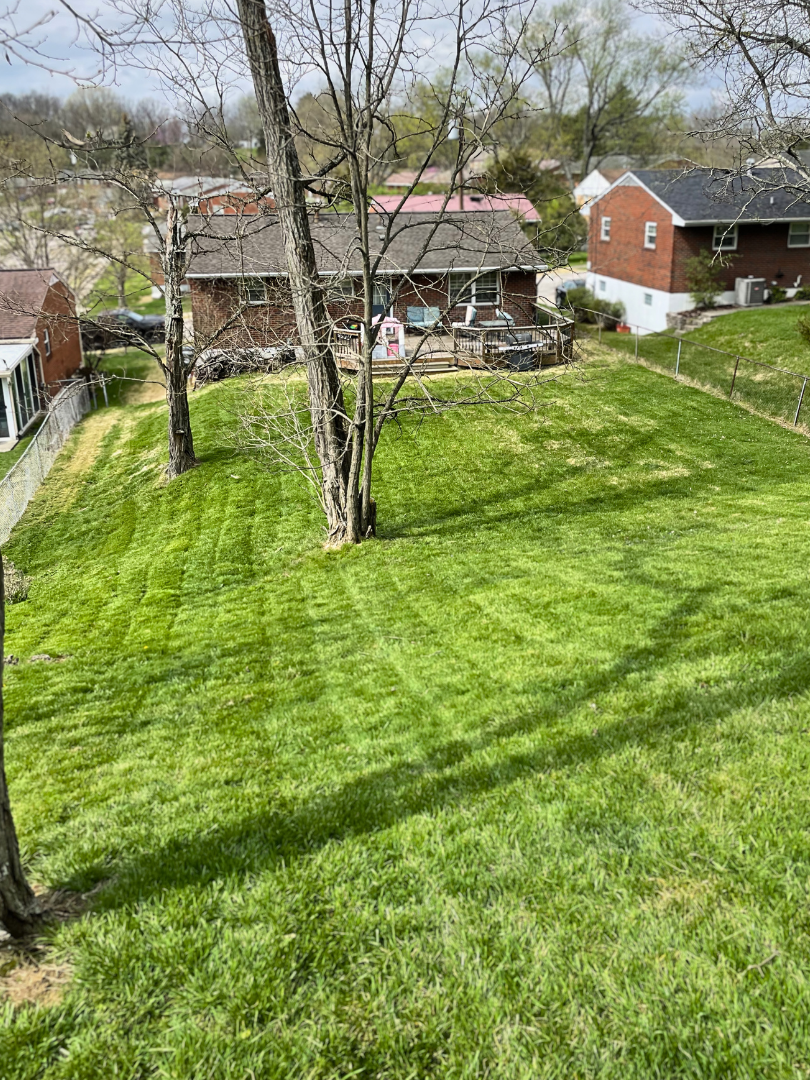 lawn mowing Newport KY backyard – JB Lawn Care KY