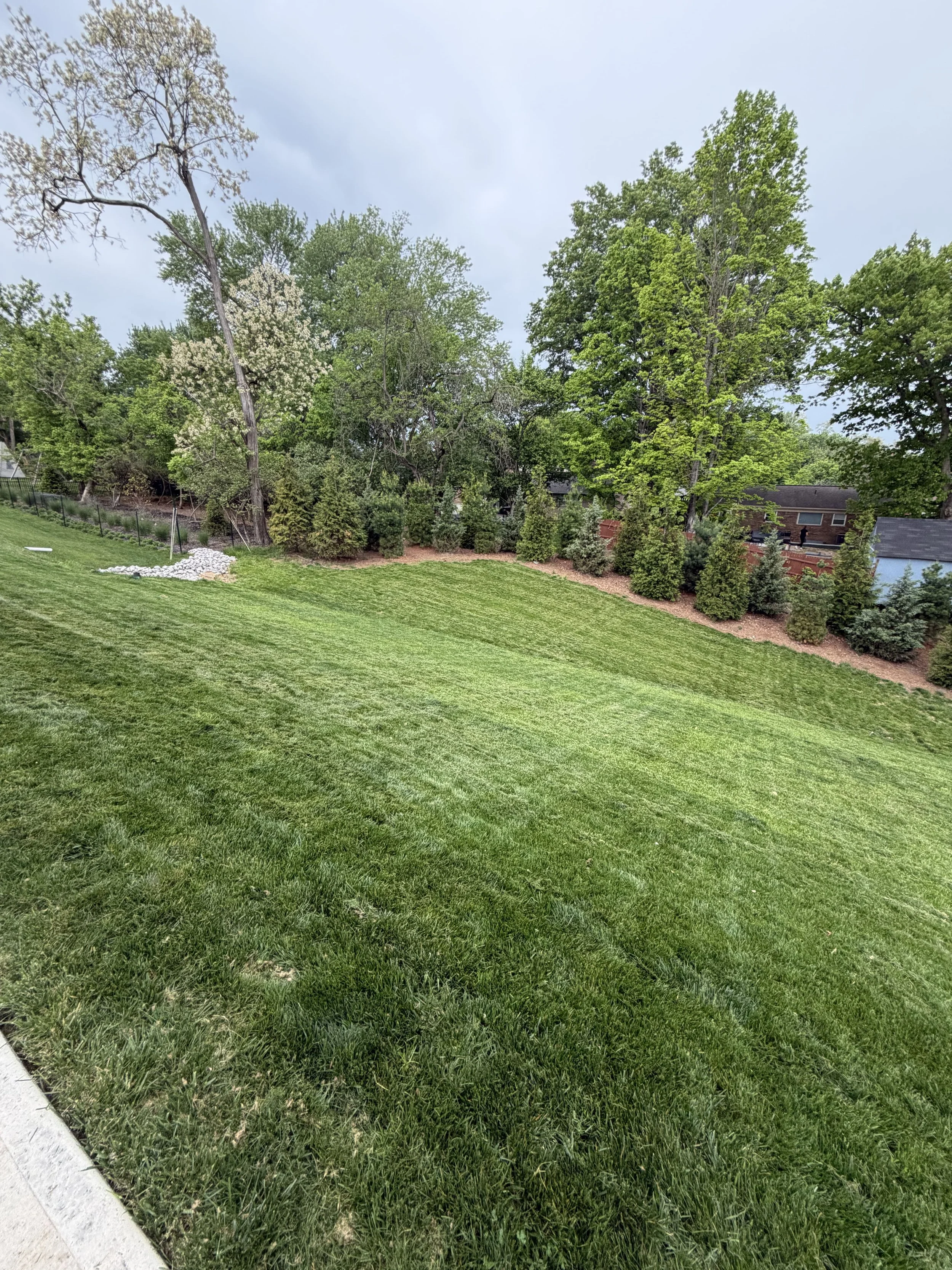 Freshly cut lawn after professional mowing service in Fort Thomas KY