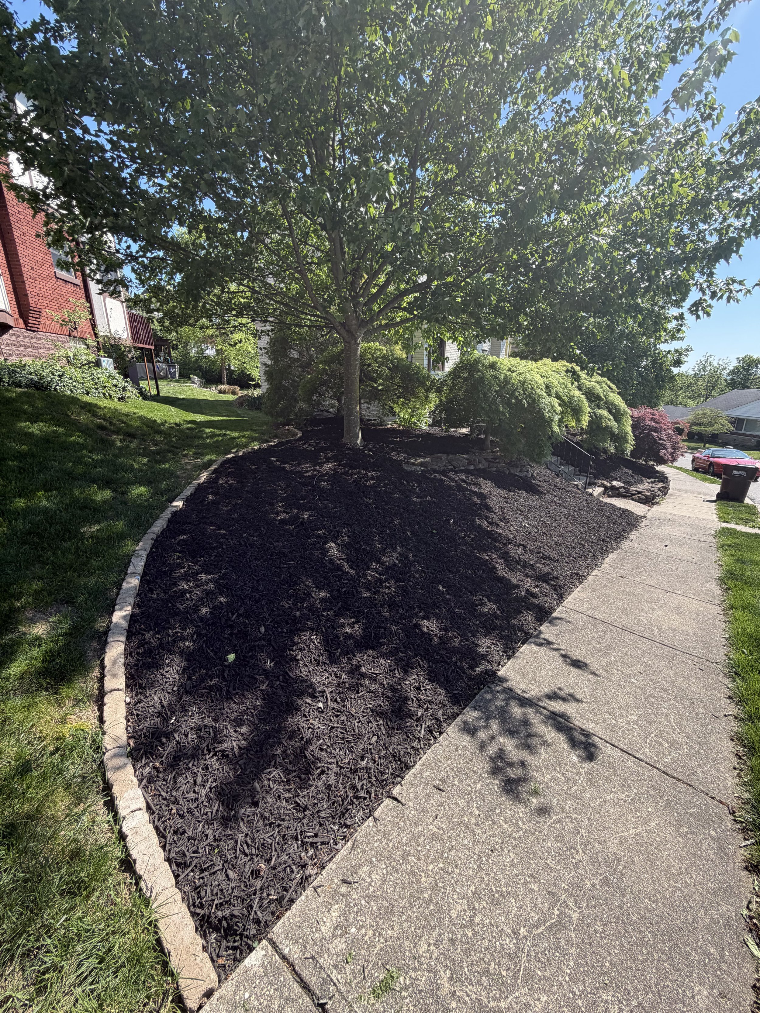 Mulch installation service in Fort Thomas KY with freshly installed dark mulch around landscaping beds