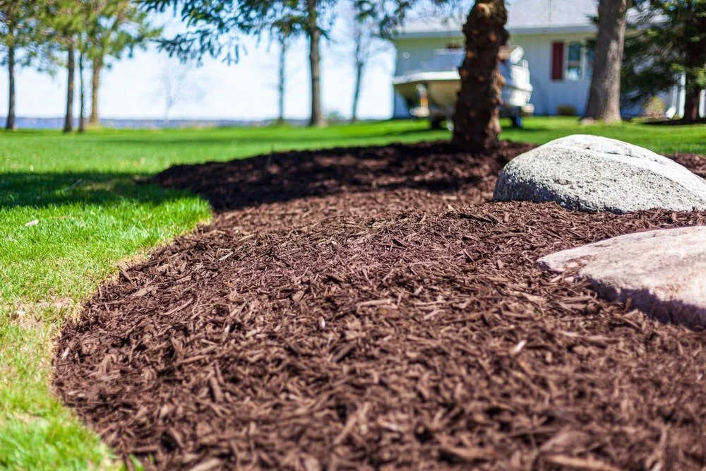 A landscaped yard with fresh mulch, large rocks, and a tree, with a house and boat in the background.