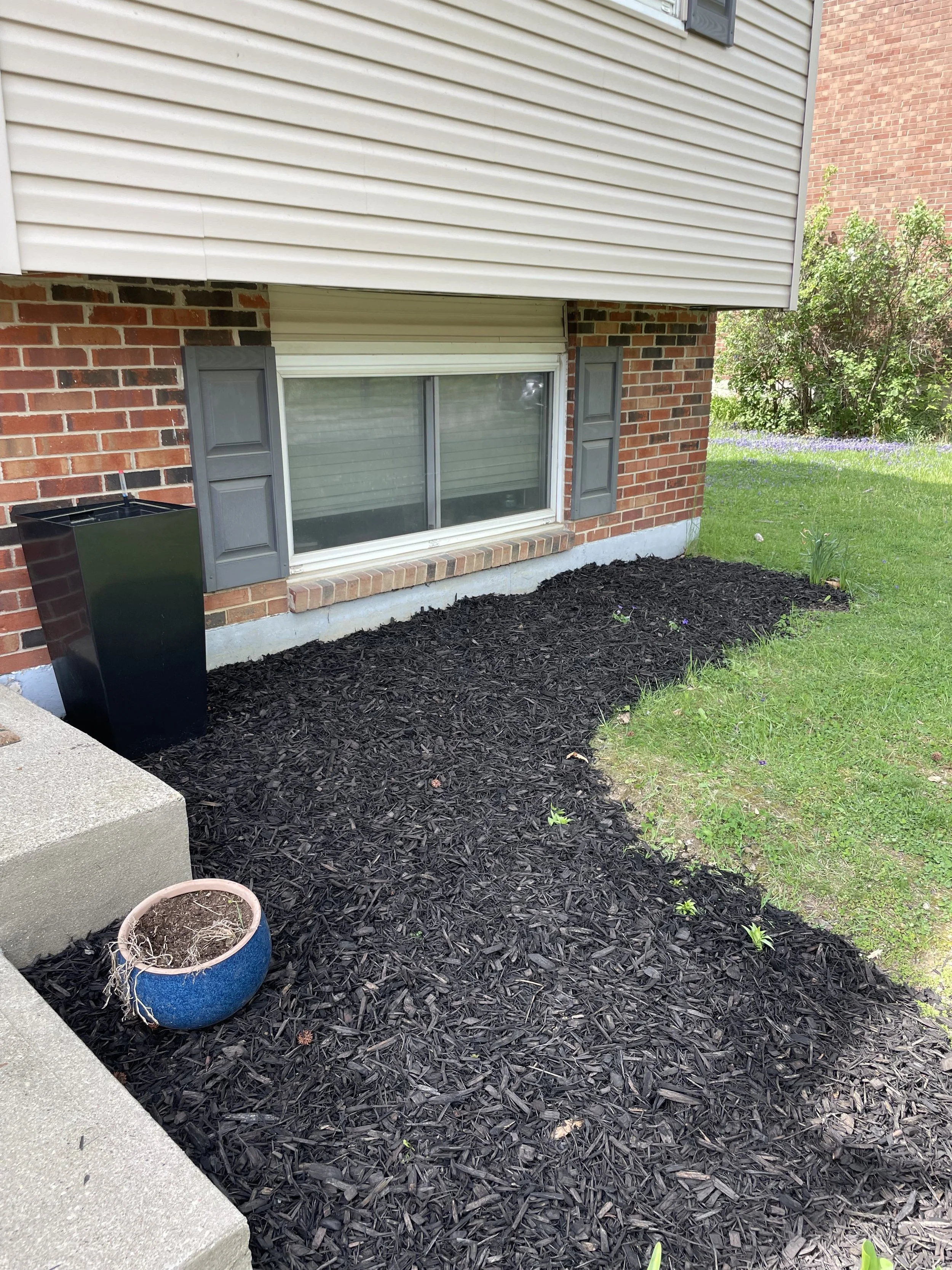A yard with freshly laid black mulch around the garden bed, a small pink-pot with dried plant remnants, a large empty black planter, and a large window with gray shutters on a brick house.