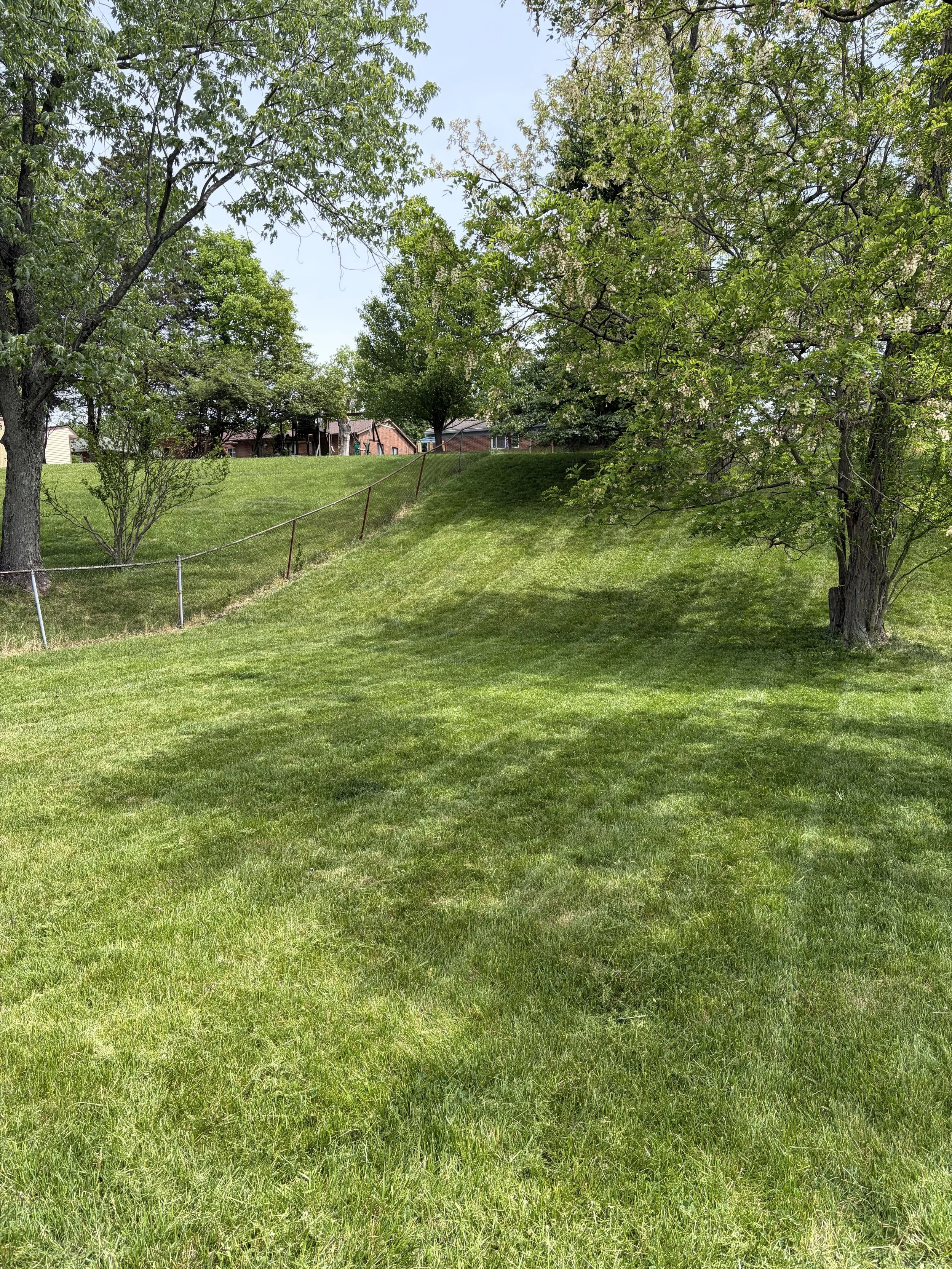 A grassy yard with trees, a fence, and houses in the background under a clear sky.