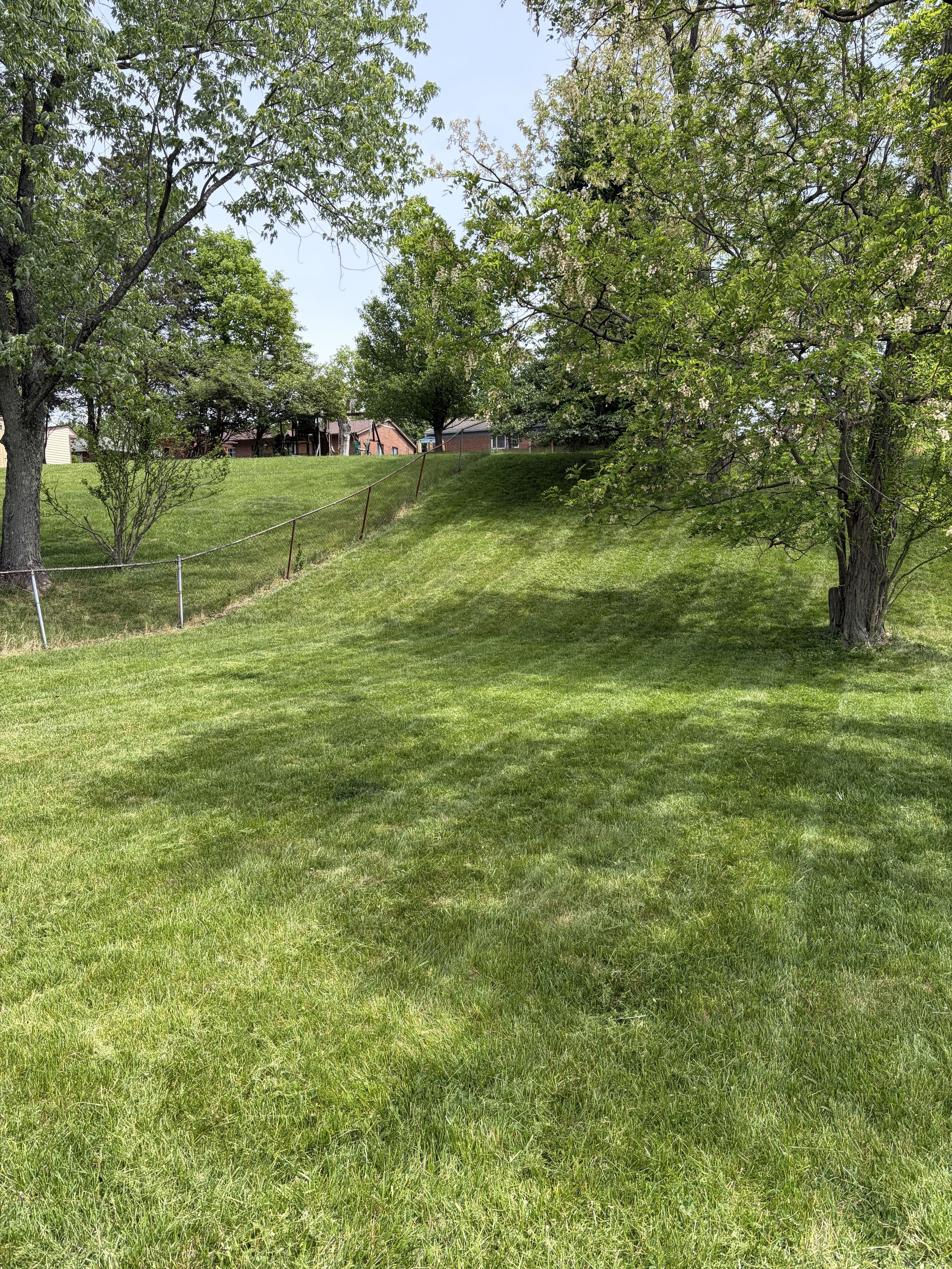 Professional lawn mowing service in Fort Thomas KY with freshly cut grass and clean edges