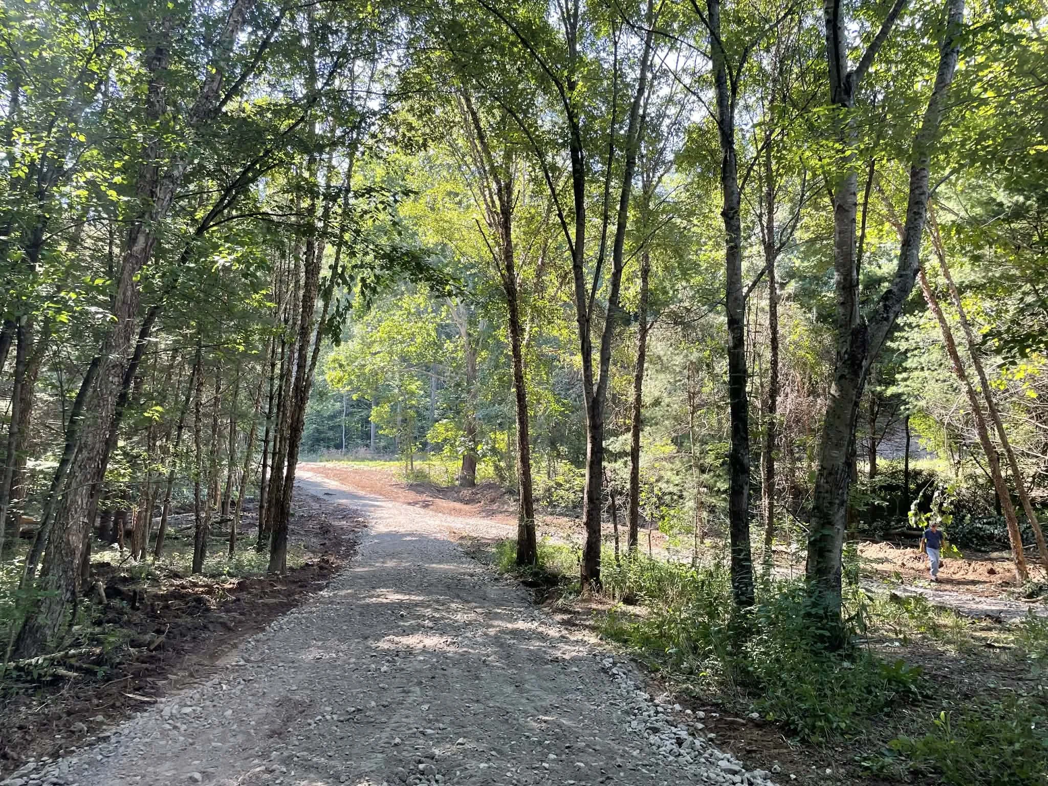 Feicht Forestry provides forest management plans, boundary line painting, marking property lines, cutting grapevine, cull tree removal, crop tree release and forest road system maintenance in Vinton County, Ohio, Kentucky, and West Virginia