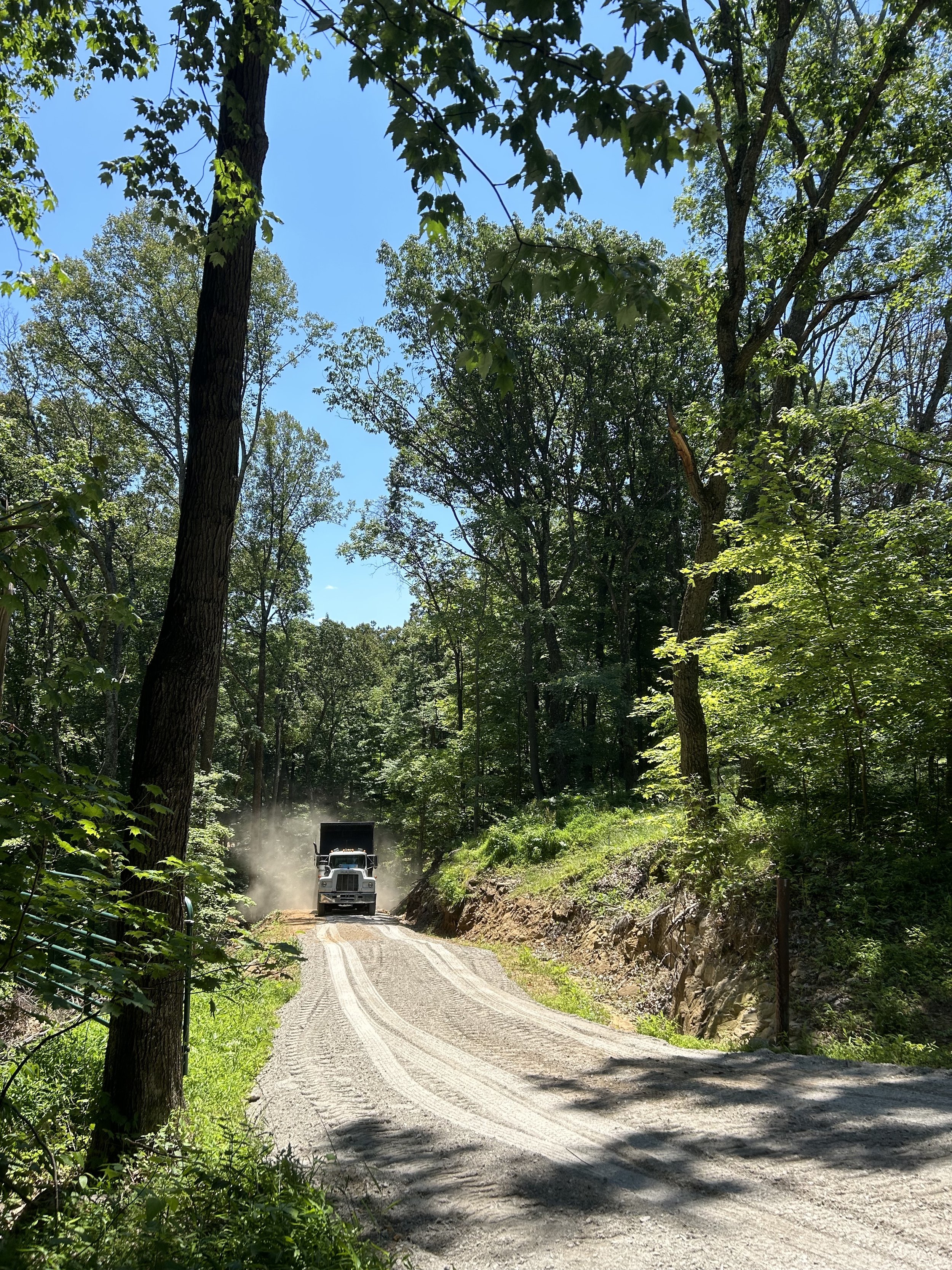 Feicht Forestry provides forest management plans, boundary line painting, marking property lines, cutting grapevine, cull tree removal, crop tree release and forest road system maintenance in Vinton County, Ohio, Kentucky, and West Virginia