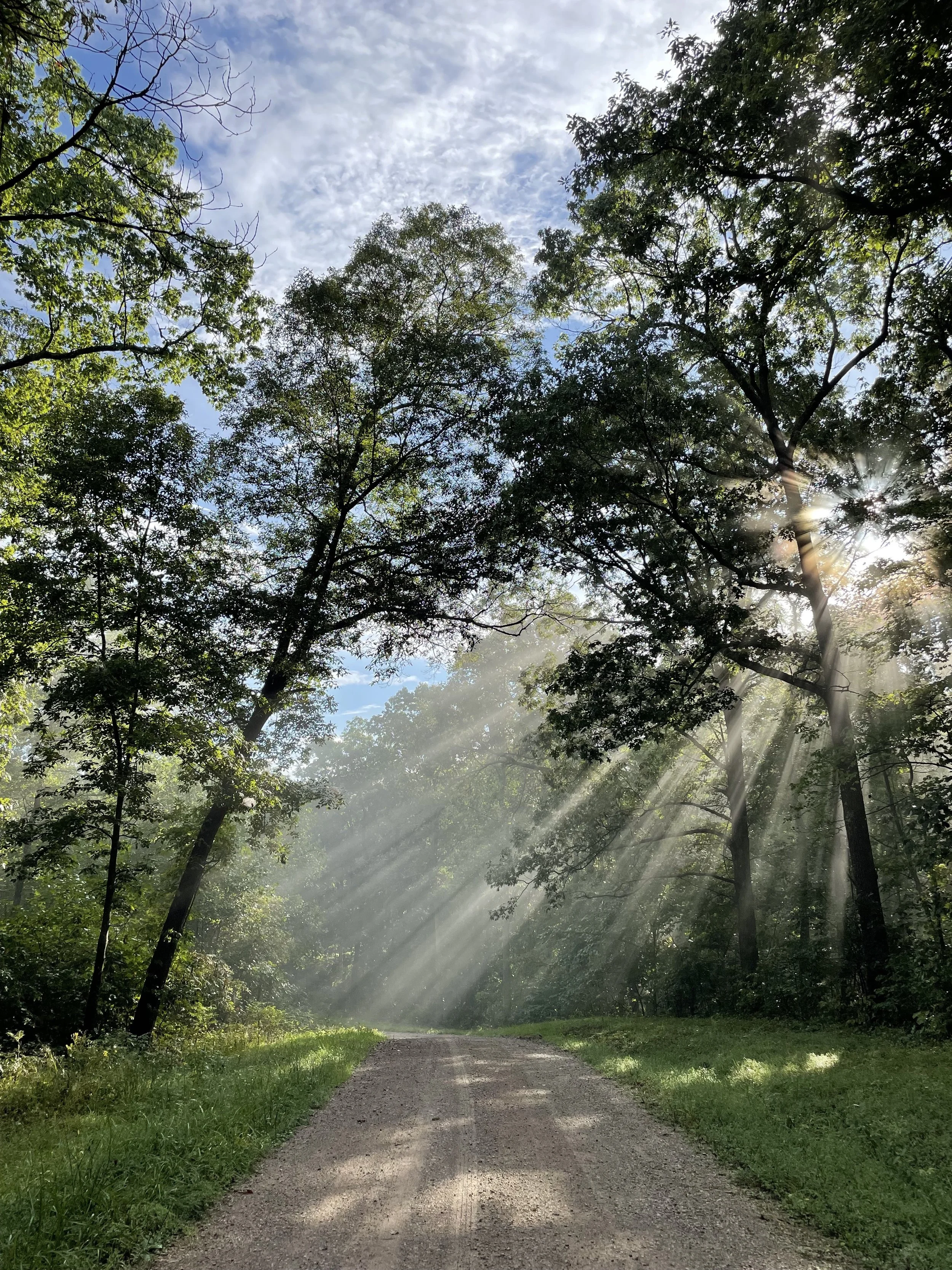 Feicht Forestry provides forest management plans, boundary line painting, marking property lines, cutting grapevine, cull tree removal, crop tree release and forest road system maintenance in Vinton County, Ohio, Kentucky, and West Virginia
