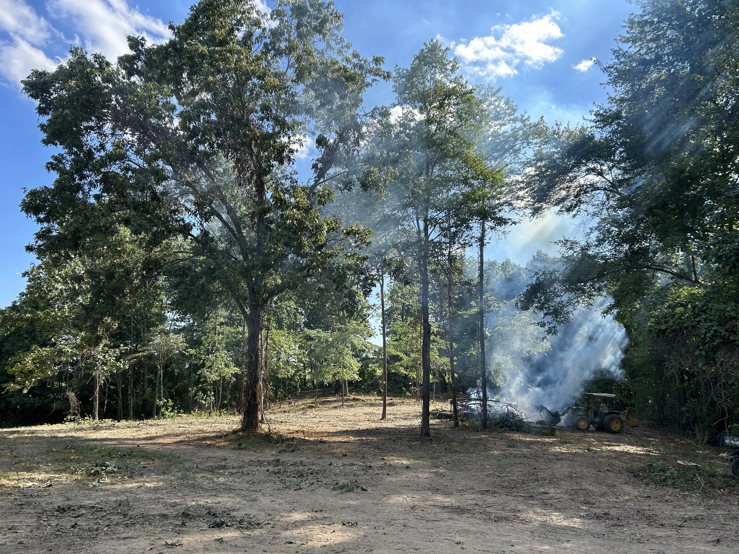 Feicht Forestry provides forest management plans, boundary line painting, marking property lines, cutting grapevine, cull tree removal, crop tree release and forest road system maintenance in Vinton County, Ohio, Kentucky, and West Virginia