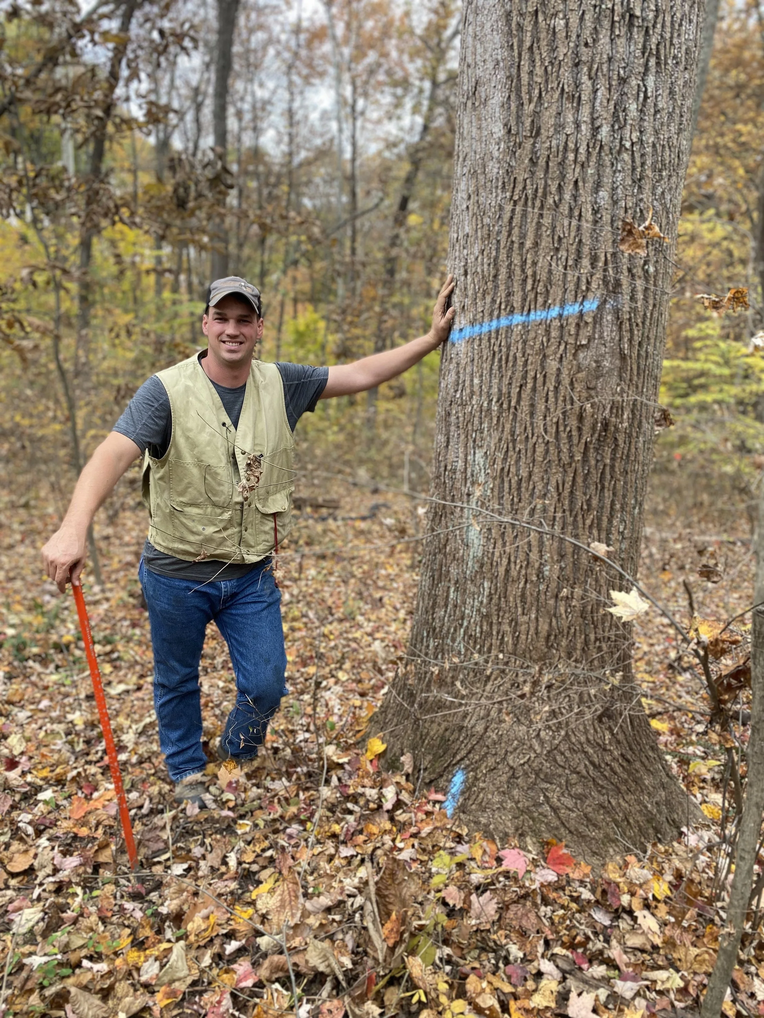 Feicht Forestry provides forest management plans, boundary line painting, marking property lines, cutting grapevine, cull tree removal, crop tree release and forest road system maintenance in Vinton County, Ohio, Kentucky, and West Virginia