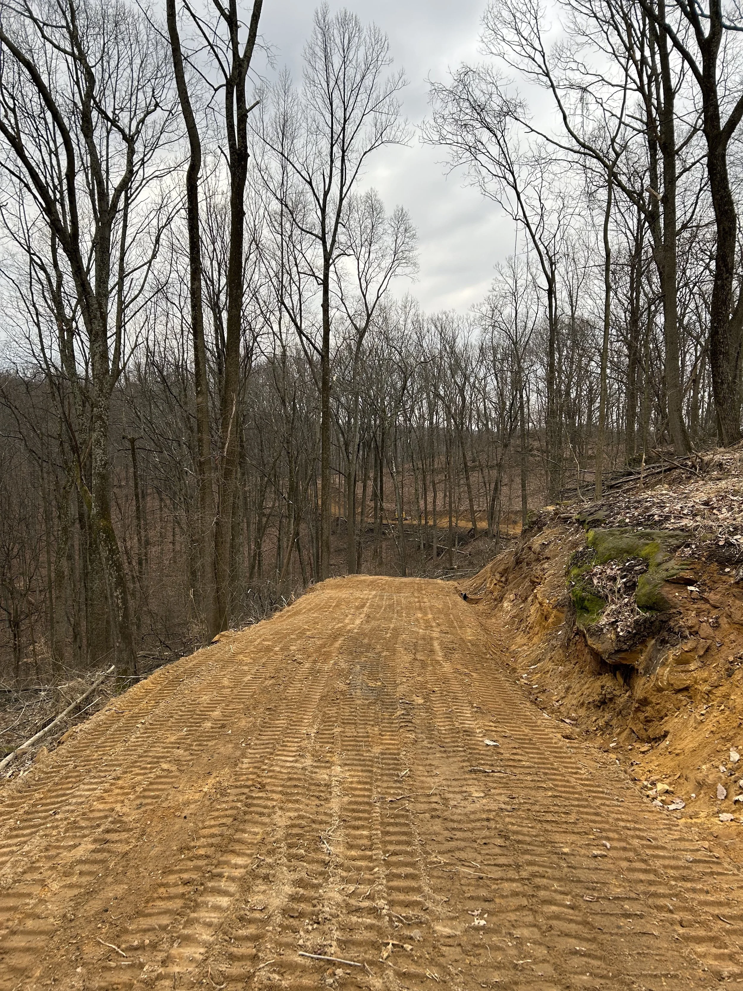 Feicht Forestry provides forest management plans, boundary line painting, marking property lines, cutting grapevine, cull tree removal, crop tree release and forest road system maintenance in Vinton County, Ohio, Kentucky, and West Virginia