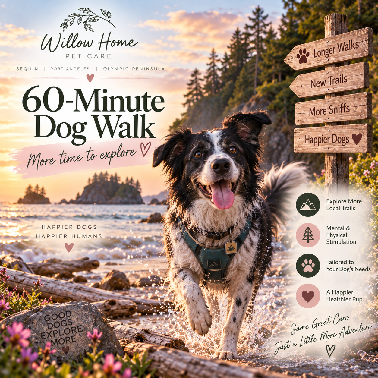 Dog Walking (60 Mins)