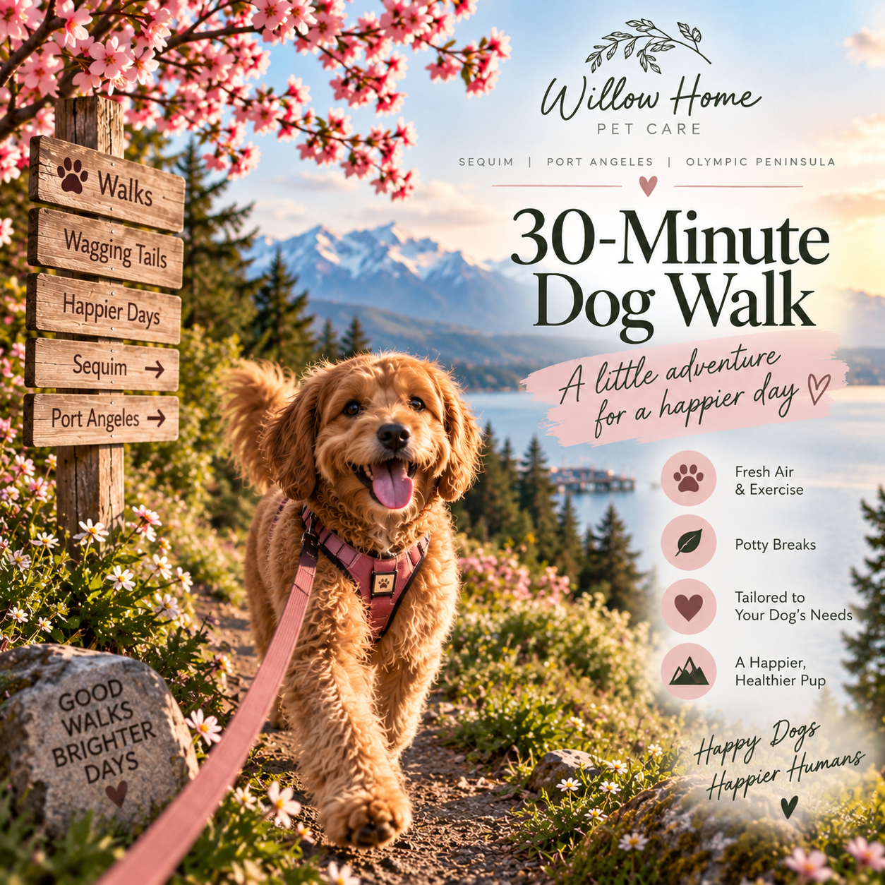 Dog Walking (30 Mins)