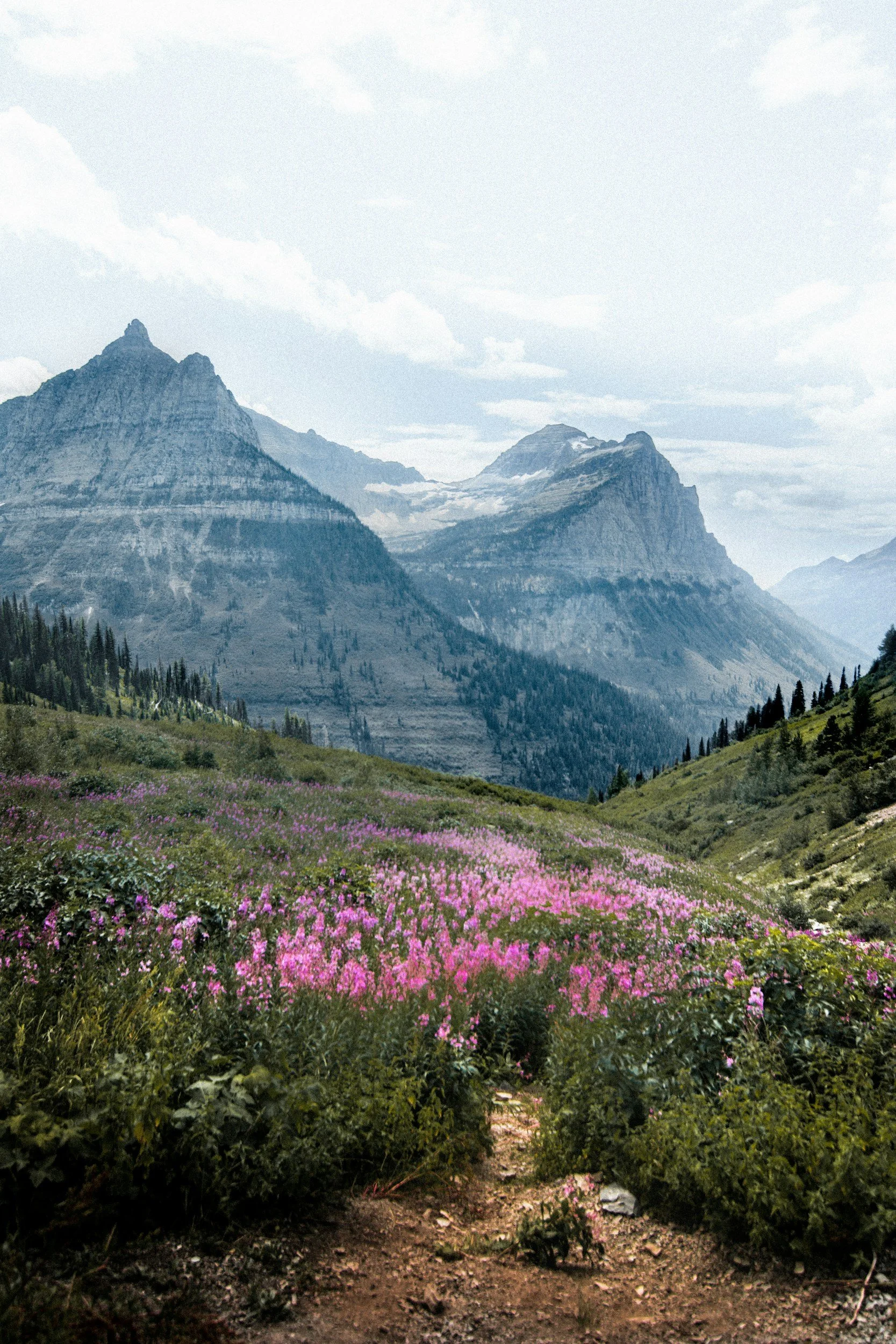 Scenic mountain landscape in Kalispell, Montana, representing the local roots of Inject Kalispell's neurotoxin and aesthetic services.