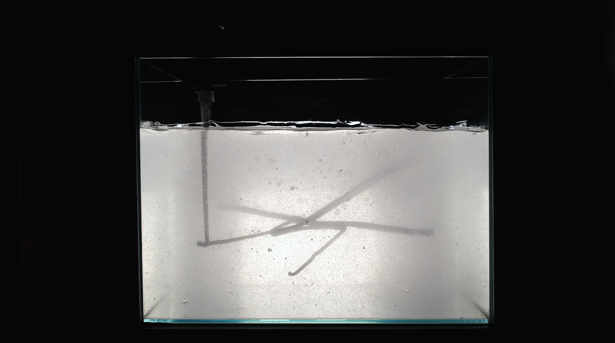 Snipaste_2023-05-16_17-50-06 - Copy.png