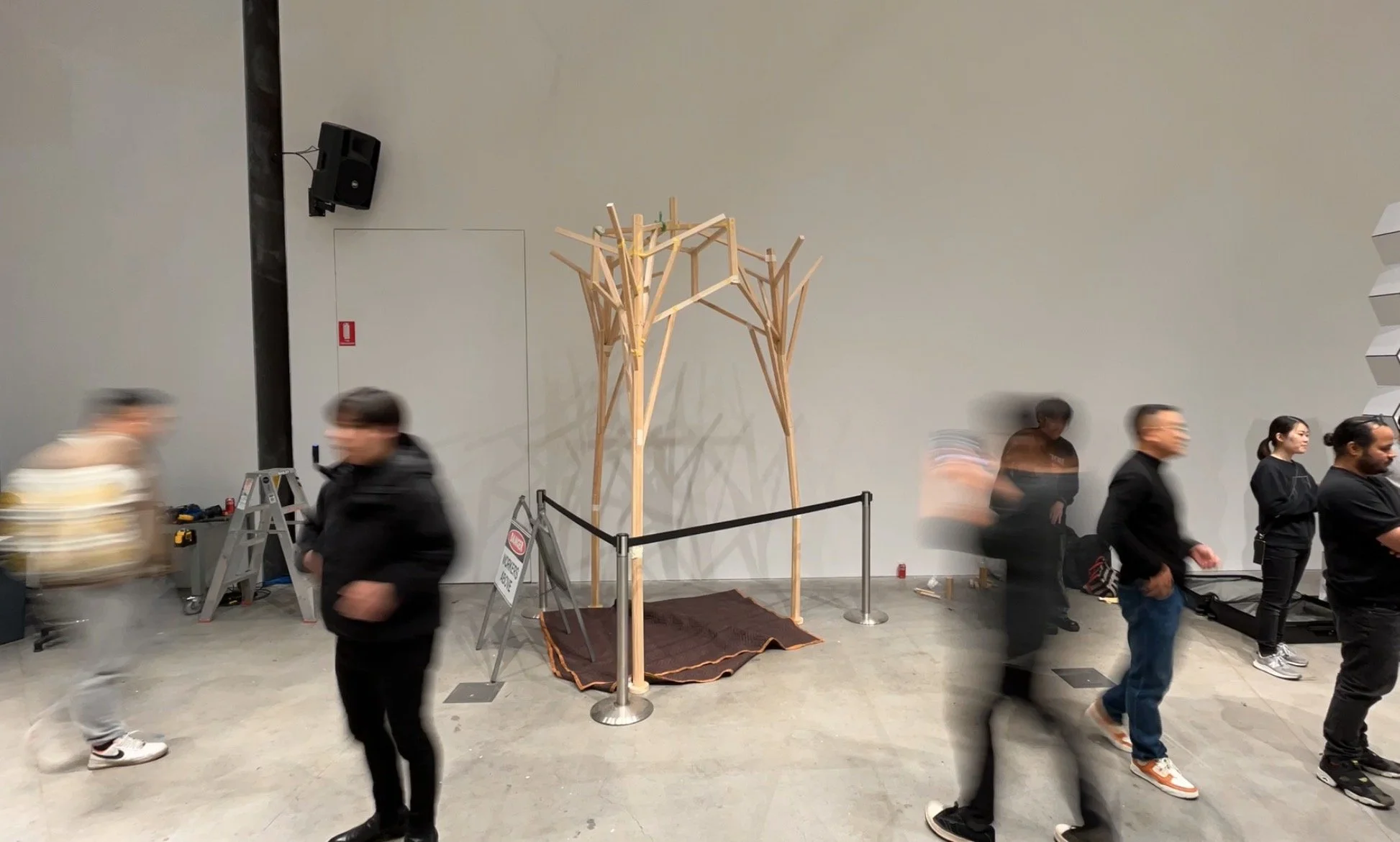 Emerging Forms Exhibition