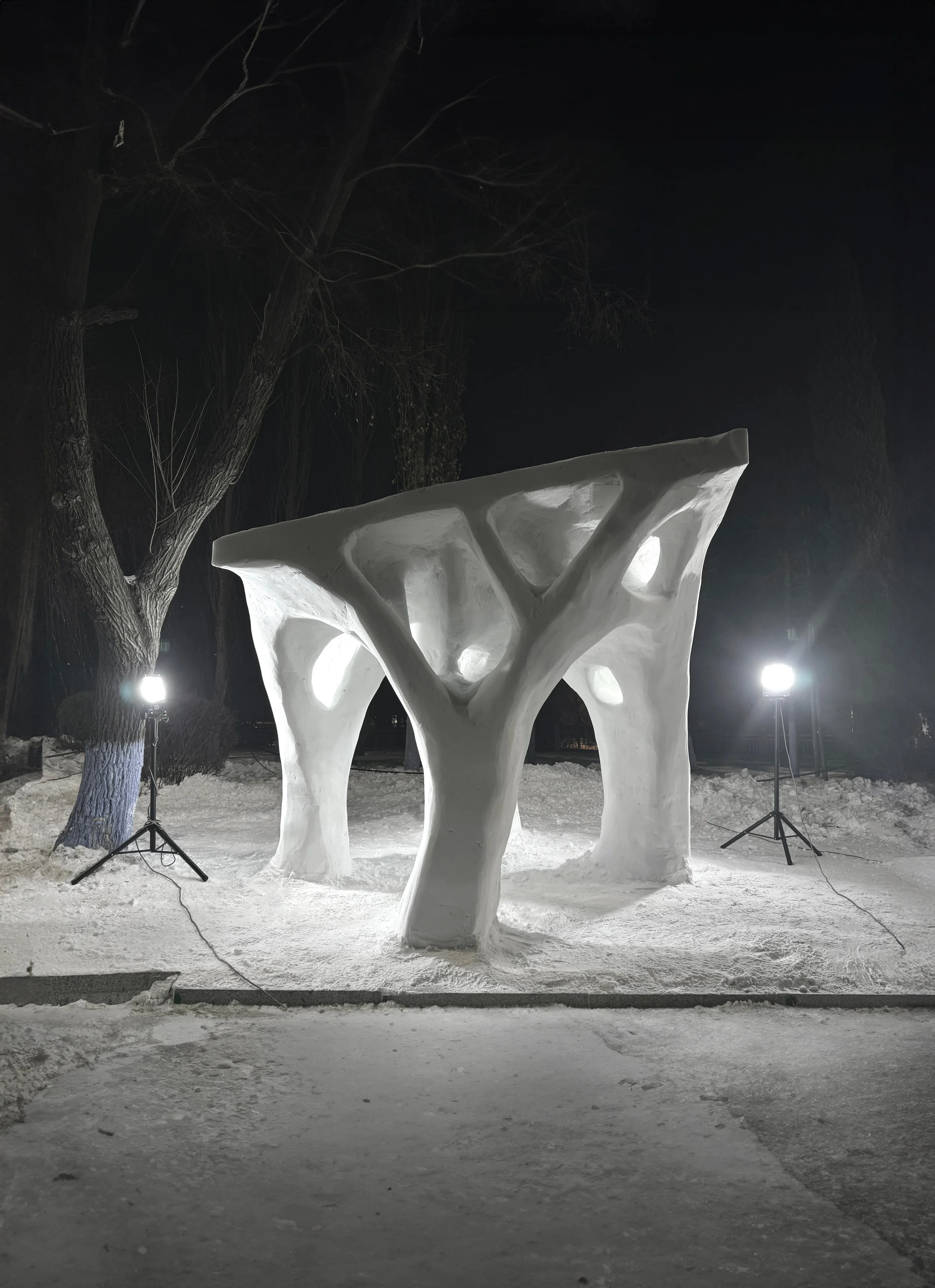 Optimised Snow Pavillion