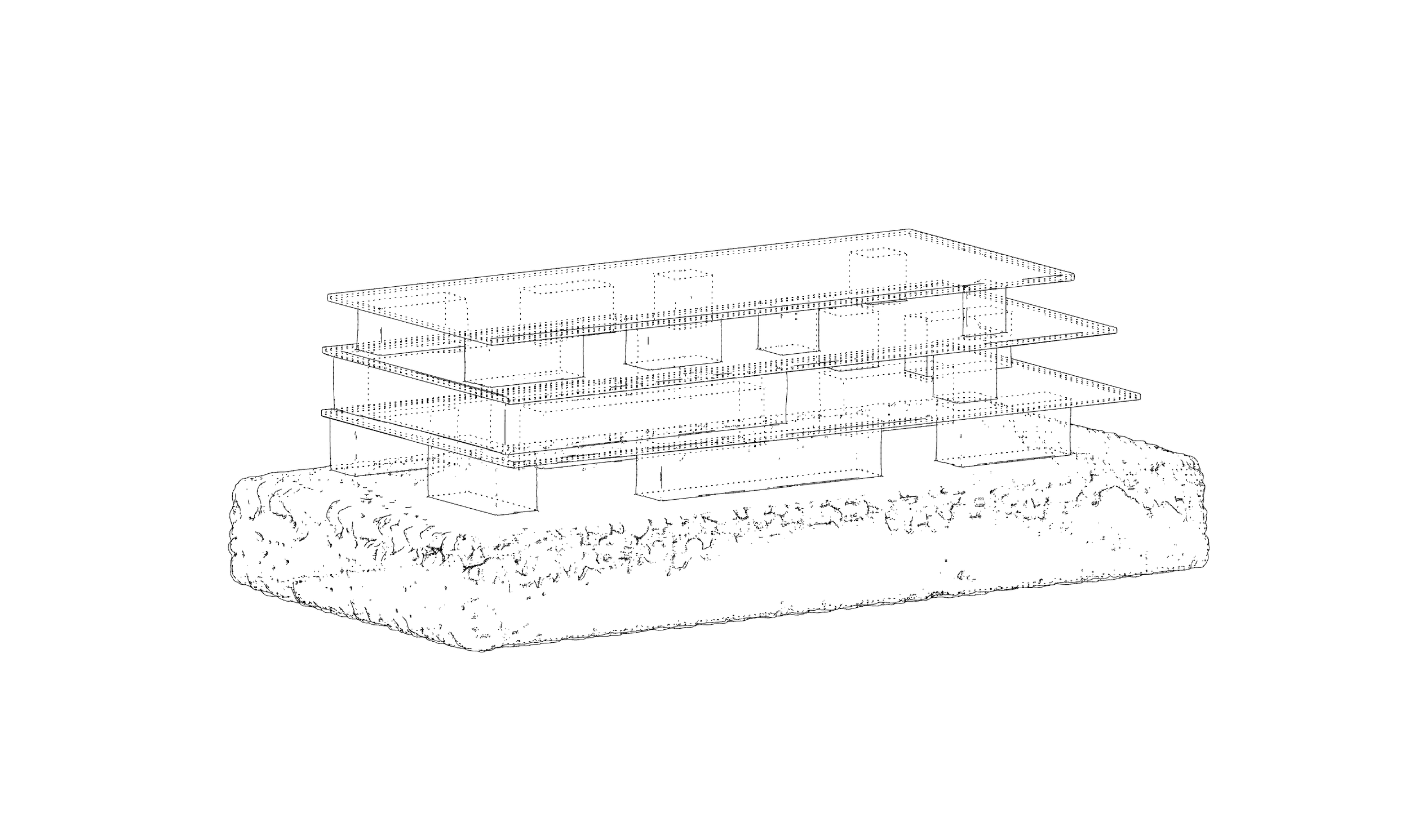 Xinghang Fu_2026-08-11_12.28.50.png