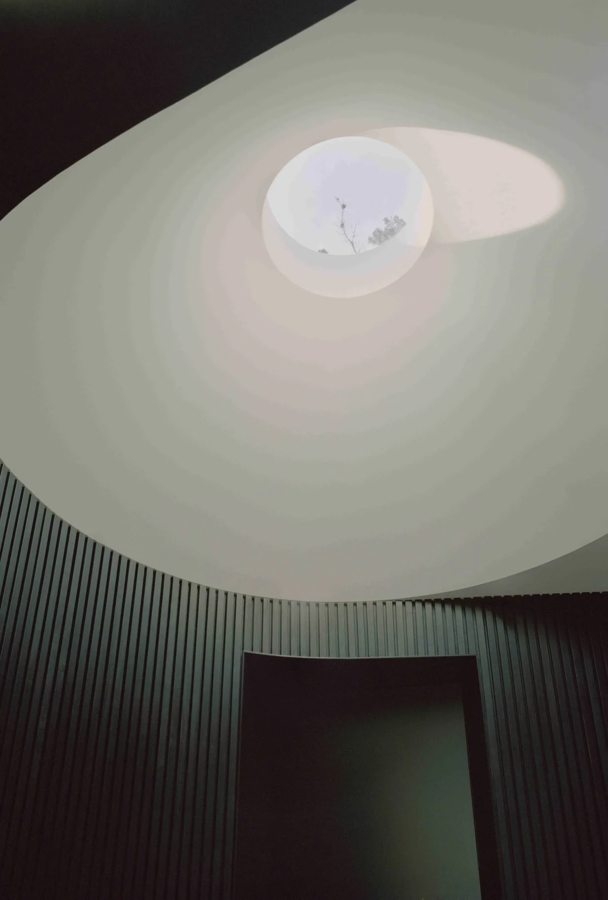 04_8748-resnew_PointNepeanHouse_PandolfiniArchitects_TashaTylee-1234x1827.jpg