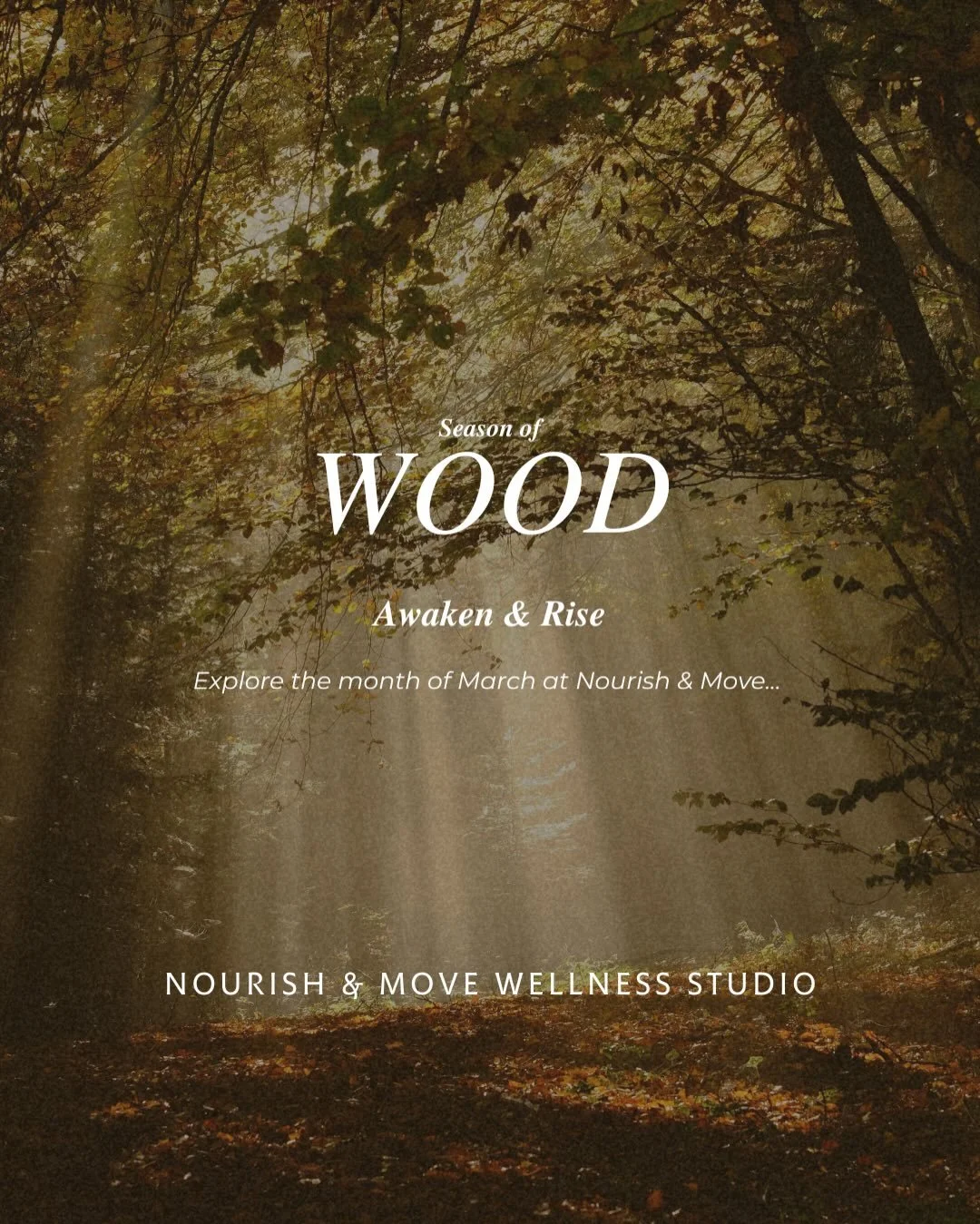 Season of Wood 🌿 | March at Nourish &amp; Move

The light lingers a little longer.
The air softens.
Beneath the surface, life begins to stir.

In Chinese Medicine, March carries the energy of Wood &mdash; the element of growth, vision, and forward m