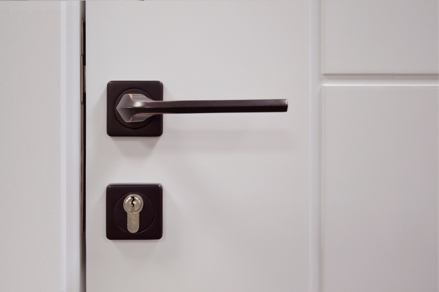 Maximizing Home Safety: Lock Rekey vs Lock Replacement Explained