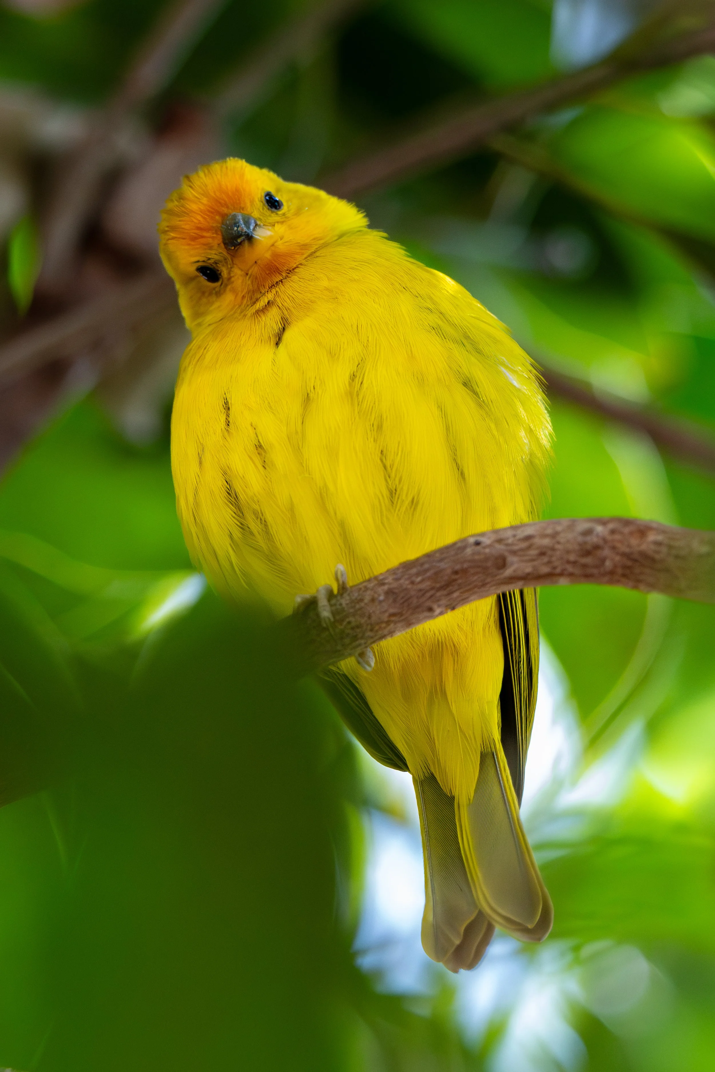 DSC_3350.jpg