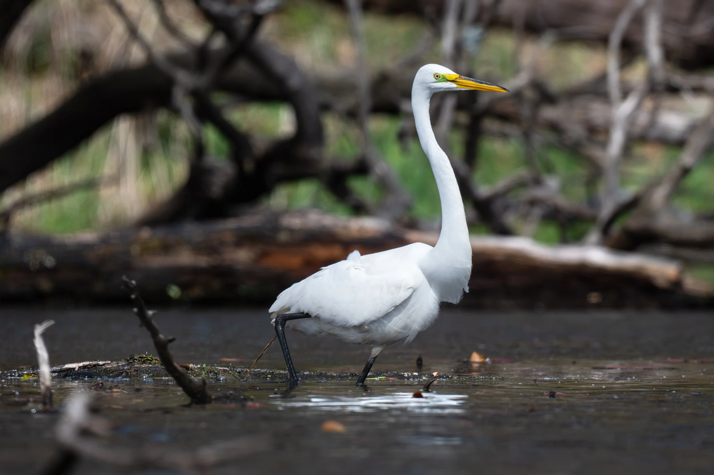 DSC_3913.jpg