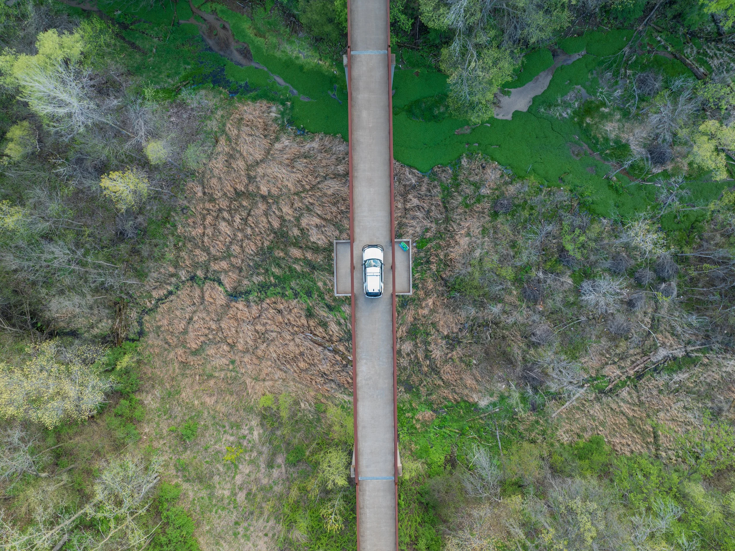 DJI_0307.jpg